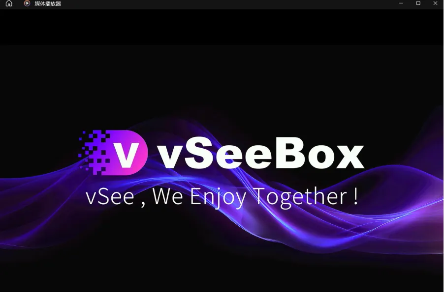vSeeBox Reset Key System Restore Operation Guide 2025