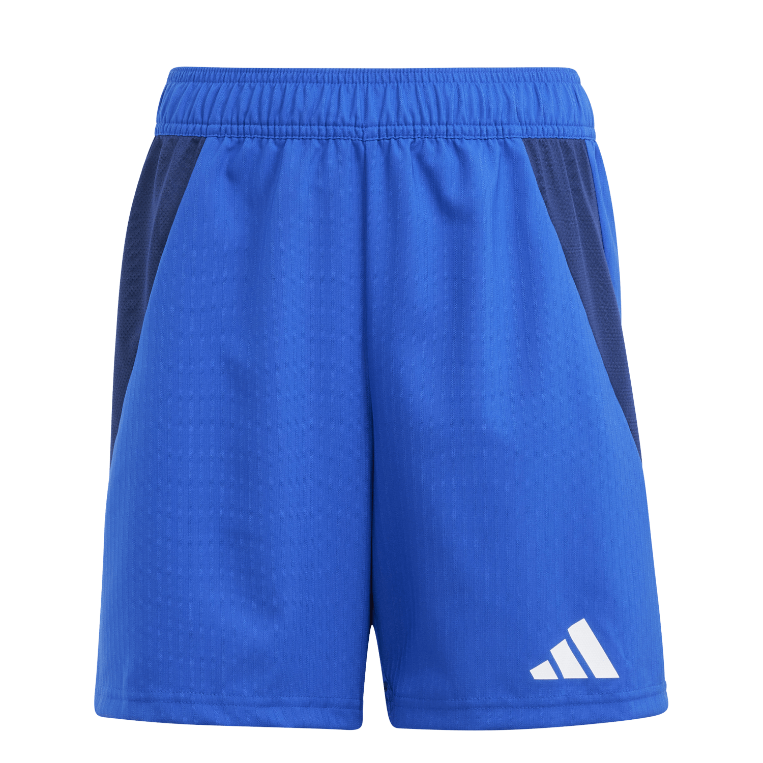 adidas Youth Tiro 24 Competition Match Shorts - Royal、mySite、noshort