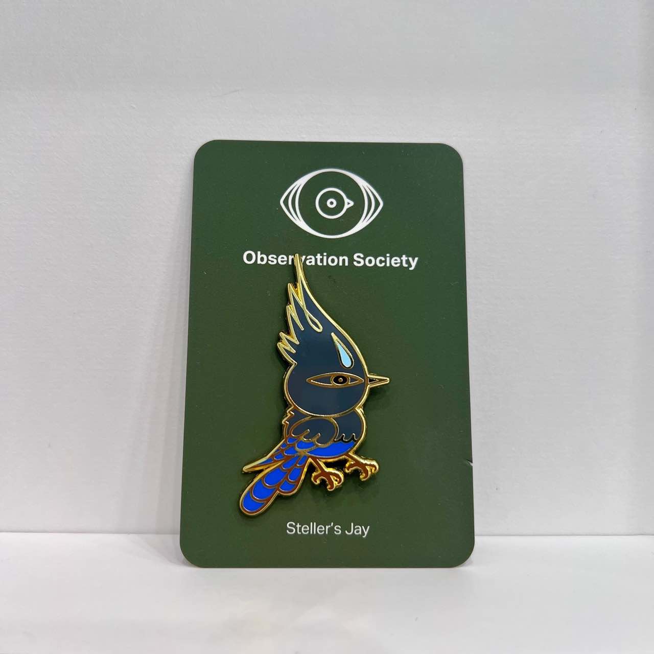 Observation - Steller's Jay - Pin、mySite、garagedoors4me