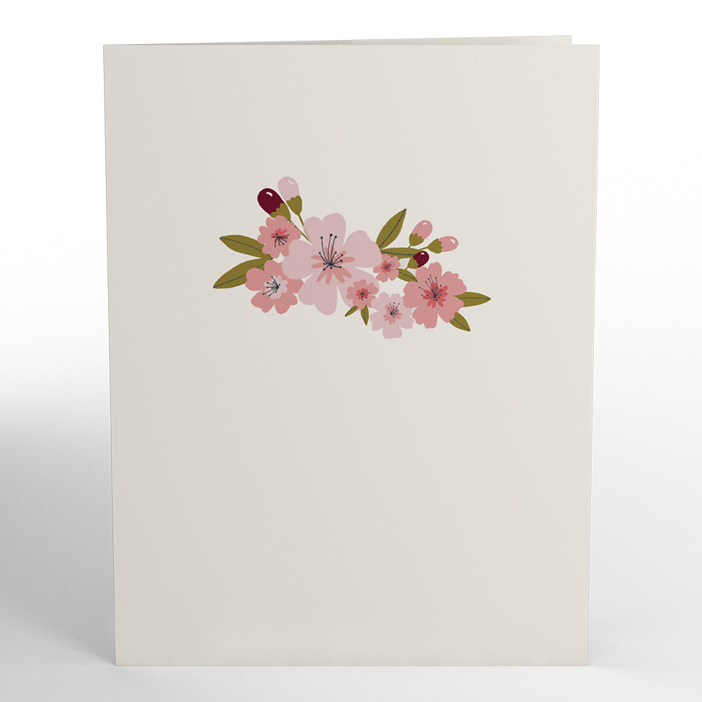 Cherry Blossom Thank You Box Set (12-Pack): Paperpop® Card、mySite、solidvoid