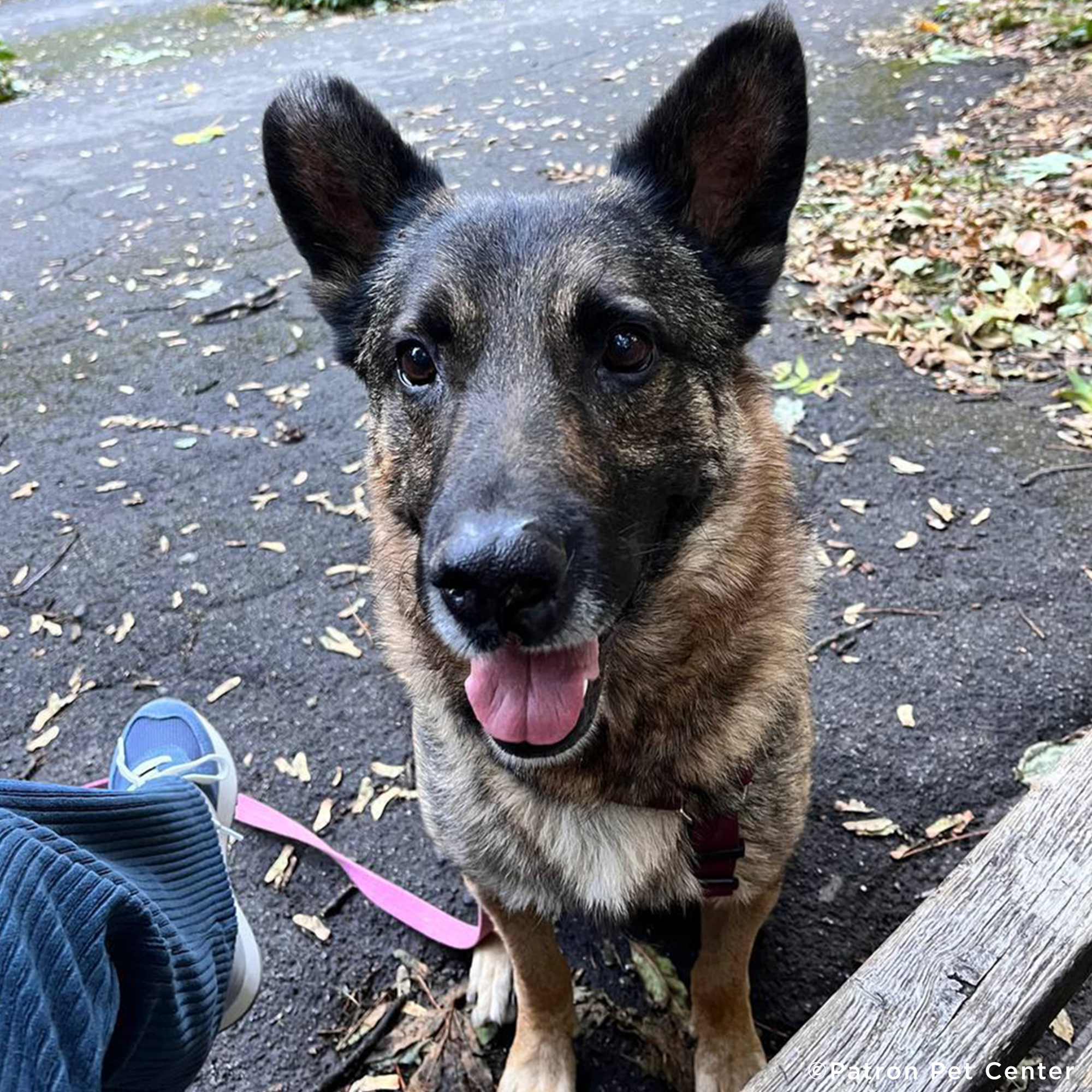 Funded: Lord Survived Explosion But Needs Your Help To Heal His Wounds、mySite、camillekostekn