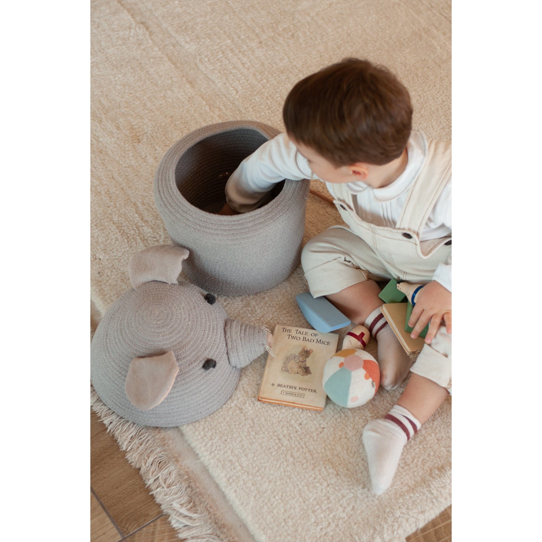 Renata the Rat Basket、mySite、gigharbornorthrealestate