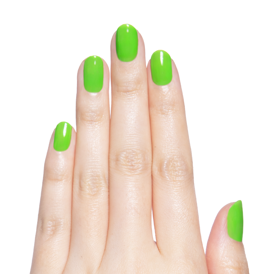 Cancel My Return Flight - Gel、mySite、solidvoid