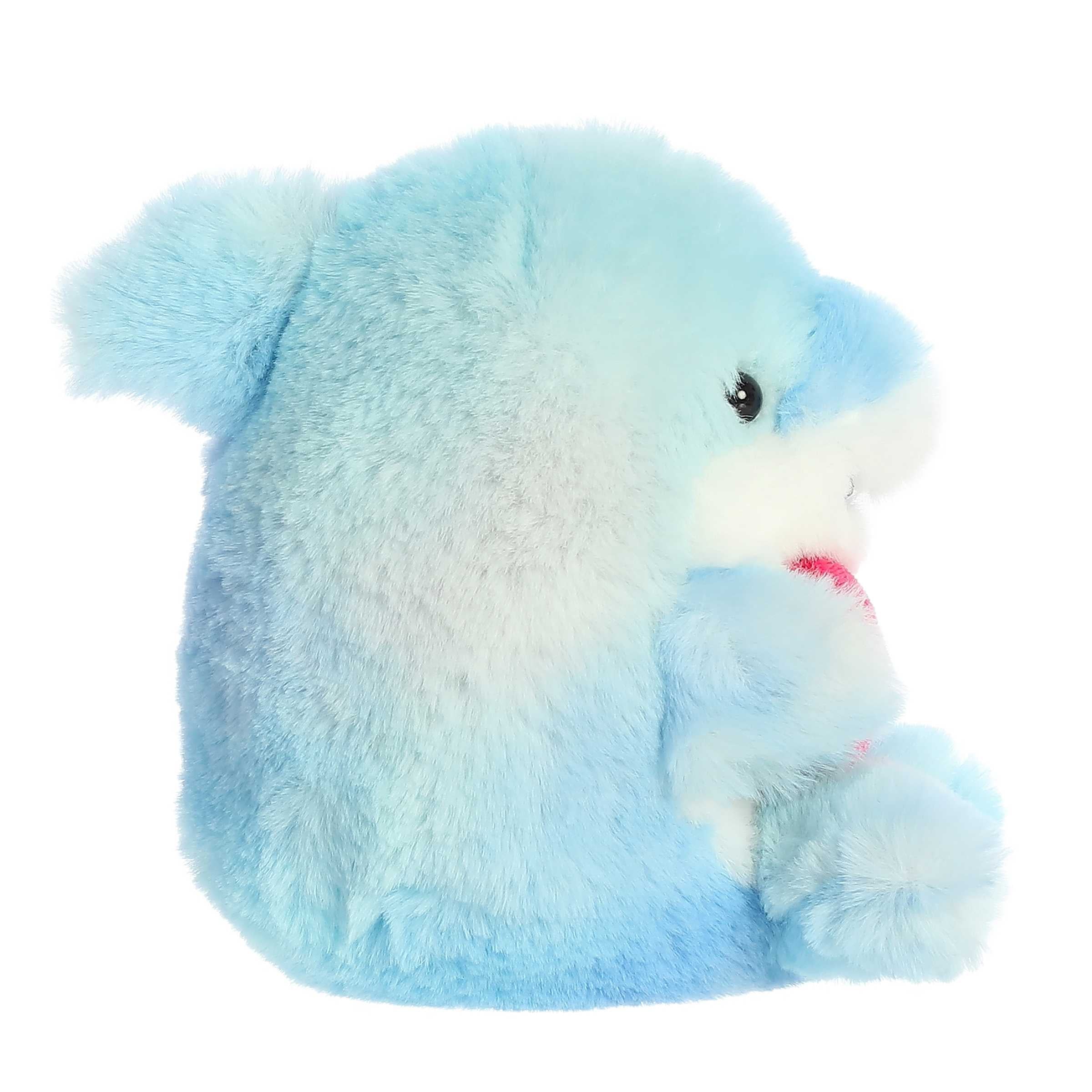 Aurora® - Rolly Pet™ - 5 Bae Shark™、mySite、g9winljtr