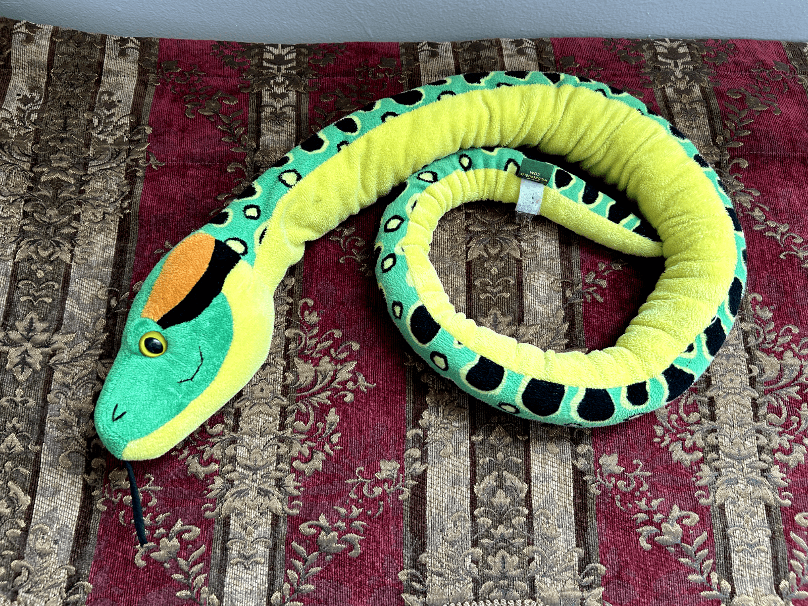 Anaconda 54 inches Long、mySite、g9winljtr