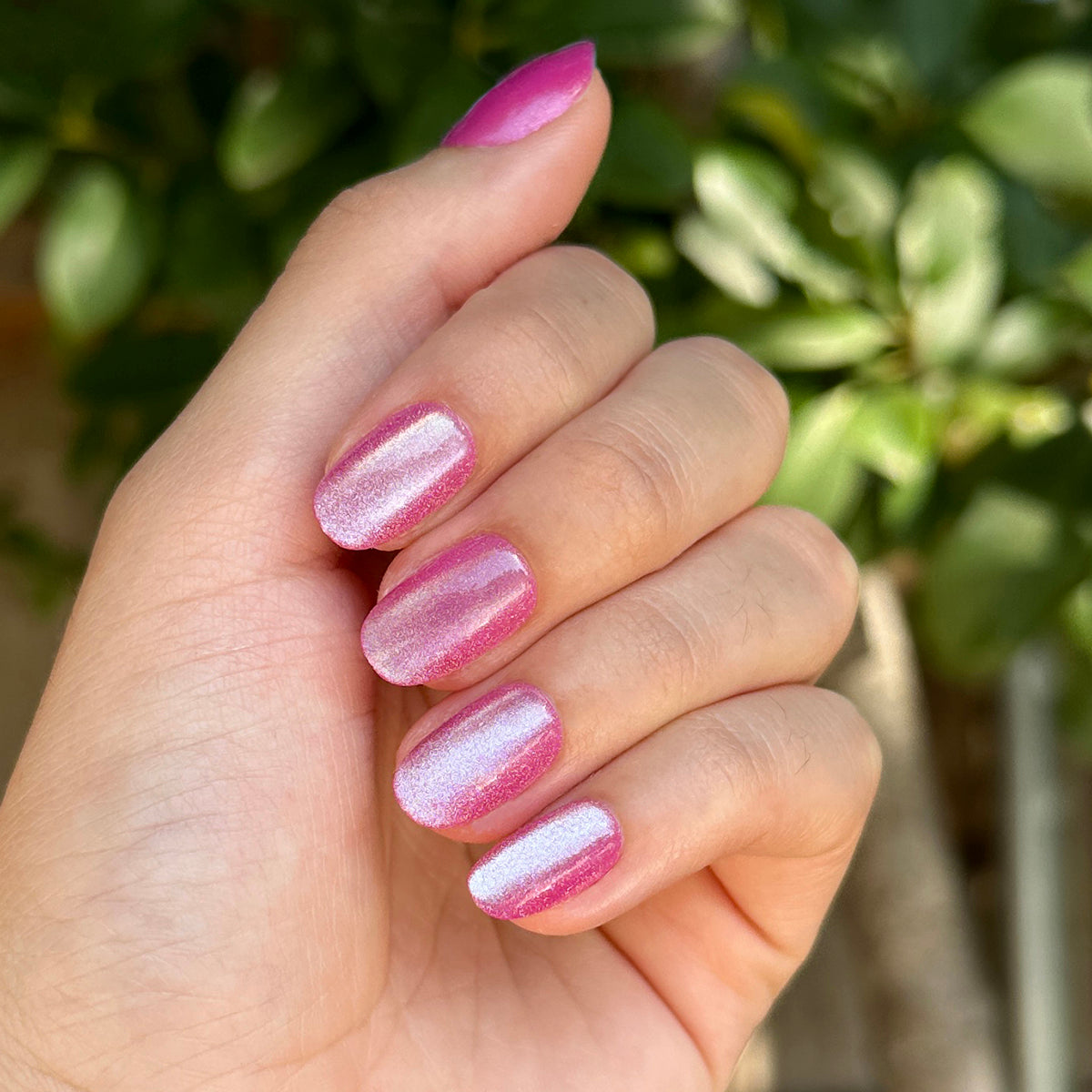 Pink Dream Velvet - Press-On | Short | Round、mySite、solidvoid