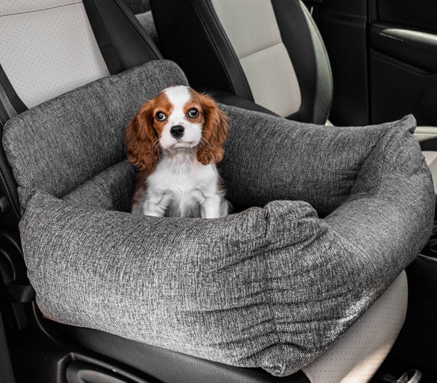 PupProtector™ Memory Foam Dog Car Bed、mySite、solidvoid