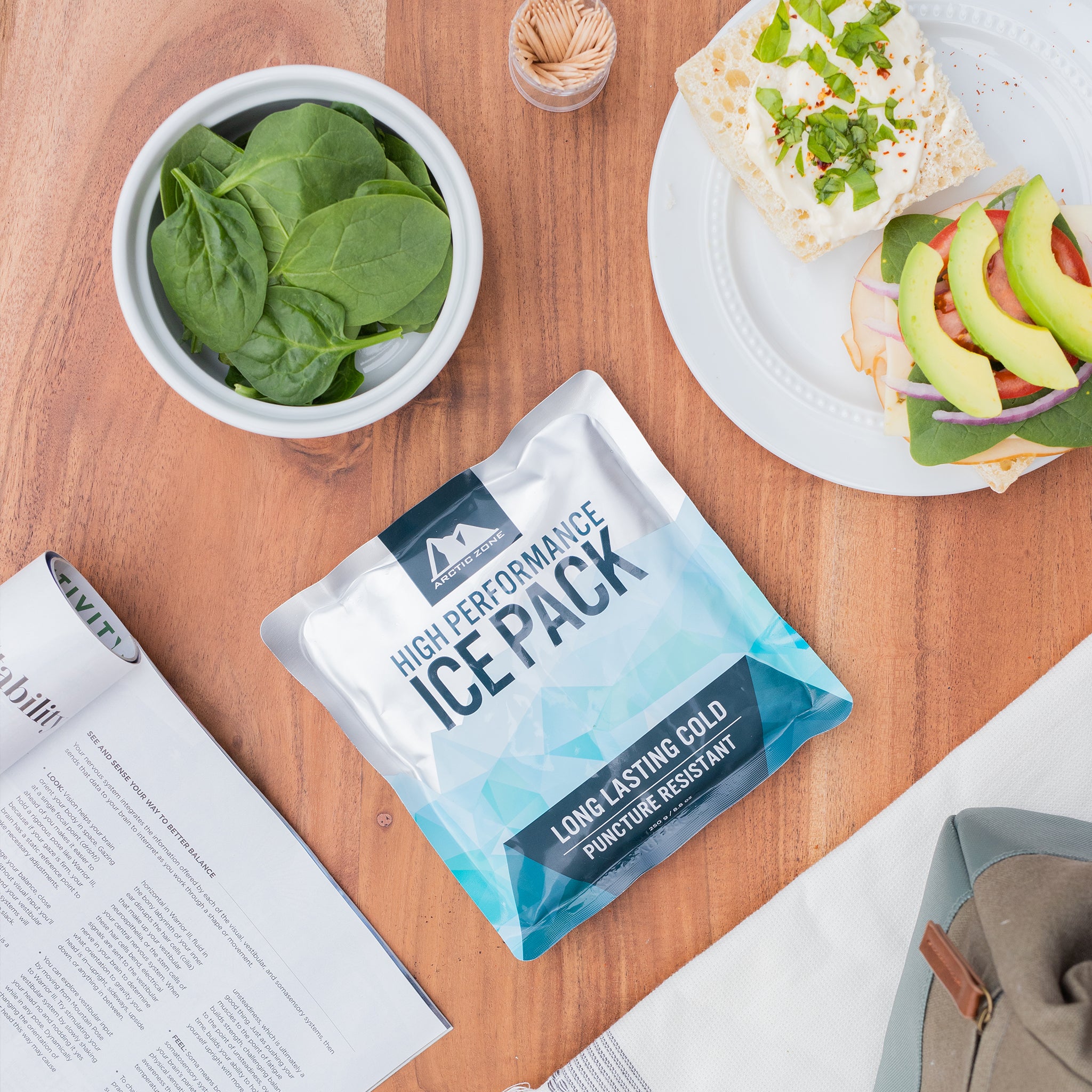 Set of 2 High Performance Ice Packs (250g)、mySite、noshort