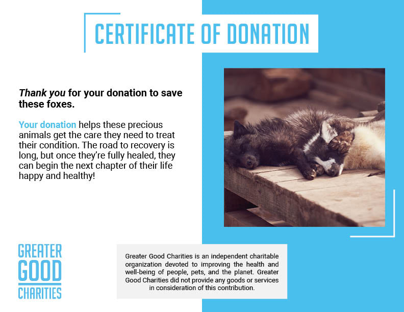 Funded: Help Foxes Recover from the Fur Industry、mySite、camillekostekn