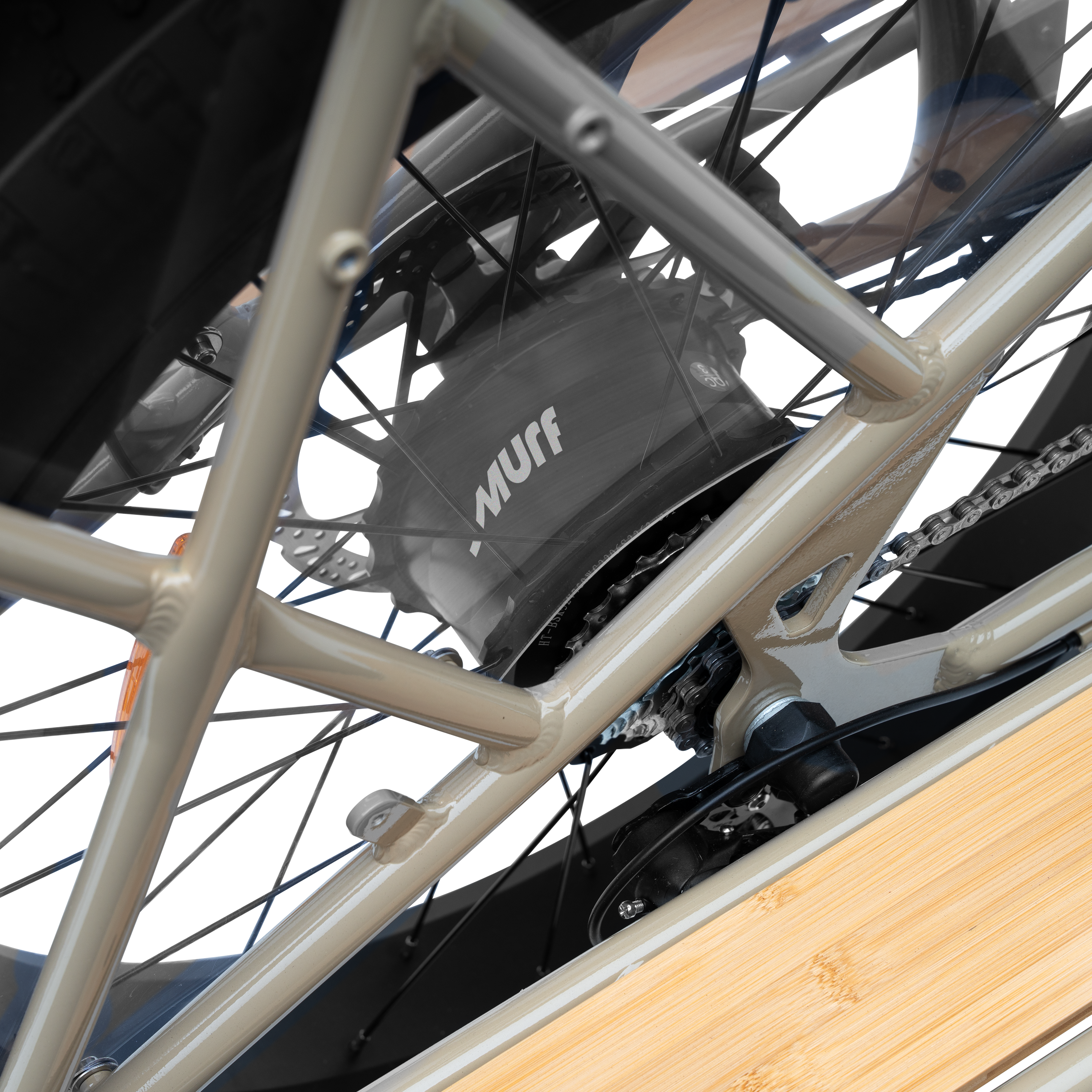 The Alpha Cargo、mySite、gigharbornorthrealestate