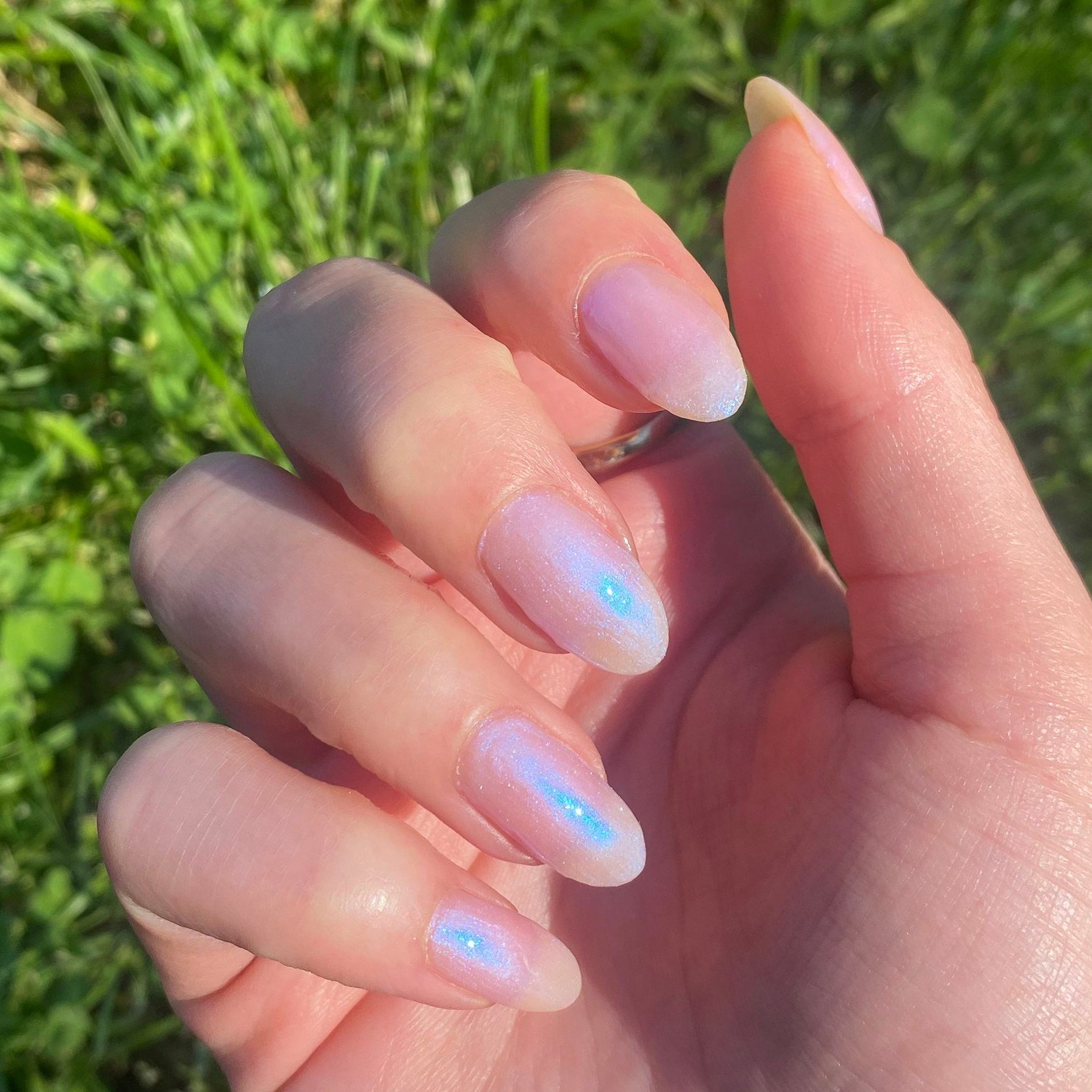 Pink Goldfish、mySite、solidvoid