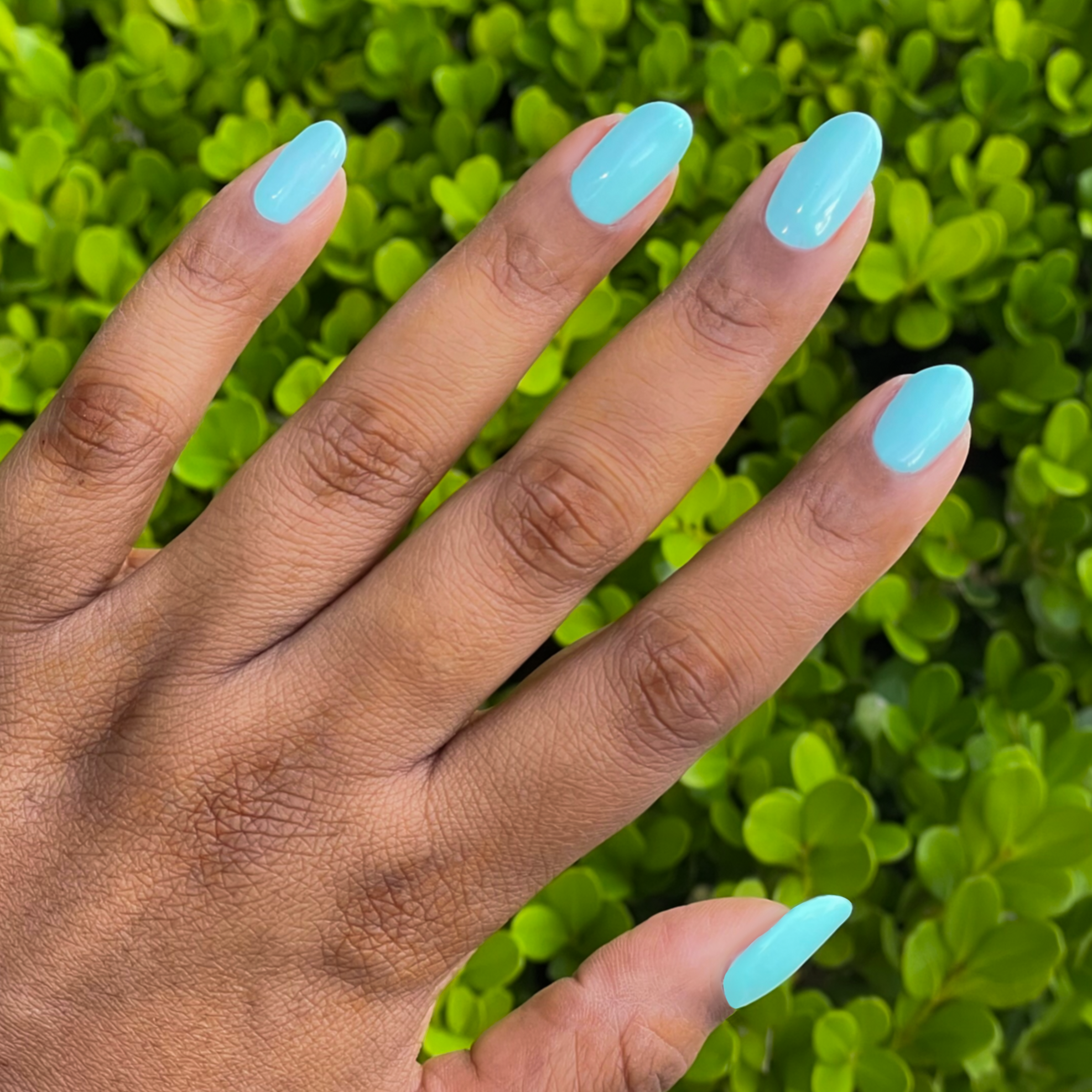 Slam Dunk、mySite、solidvoid