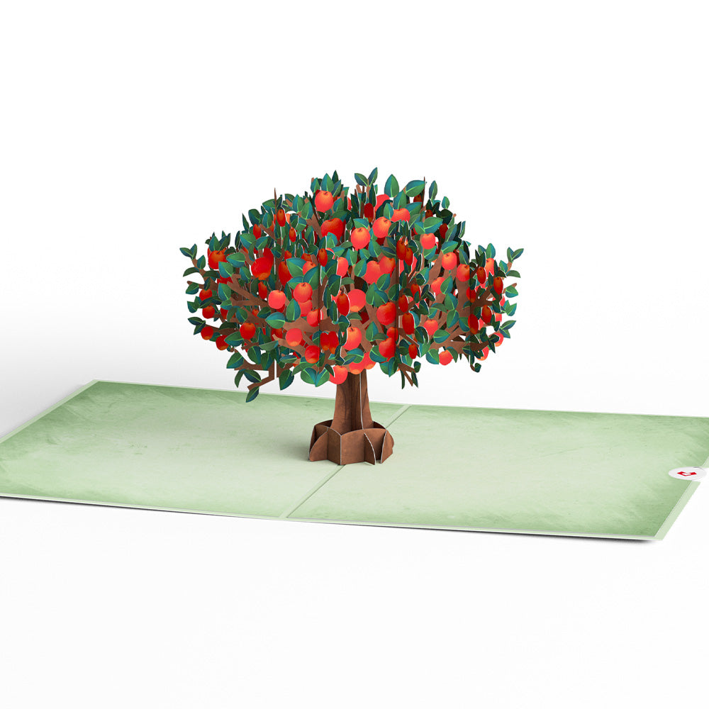 Apple Tree Pop-Up Card、mySite、solidvoid