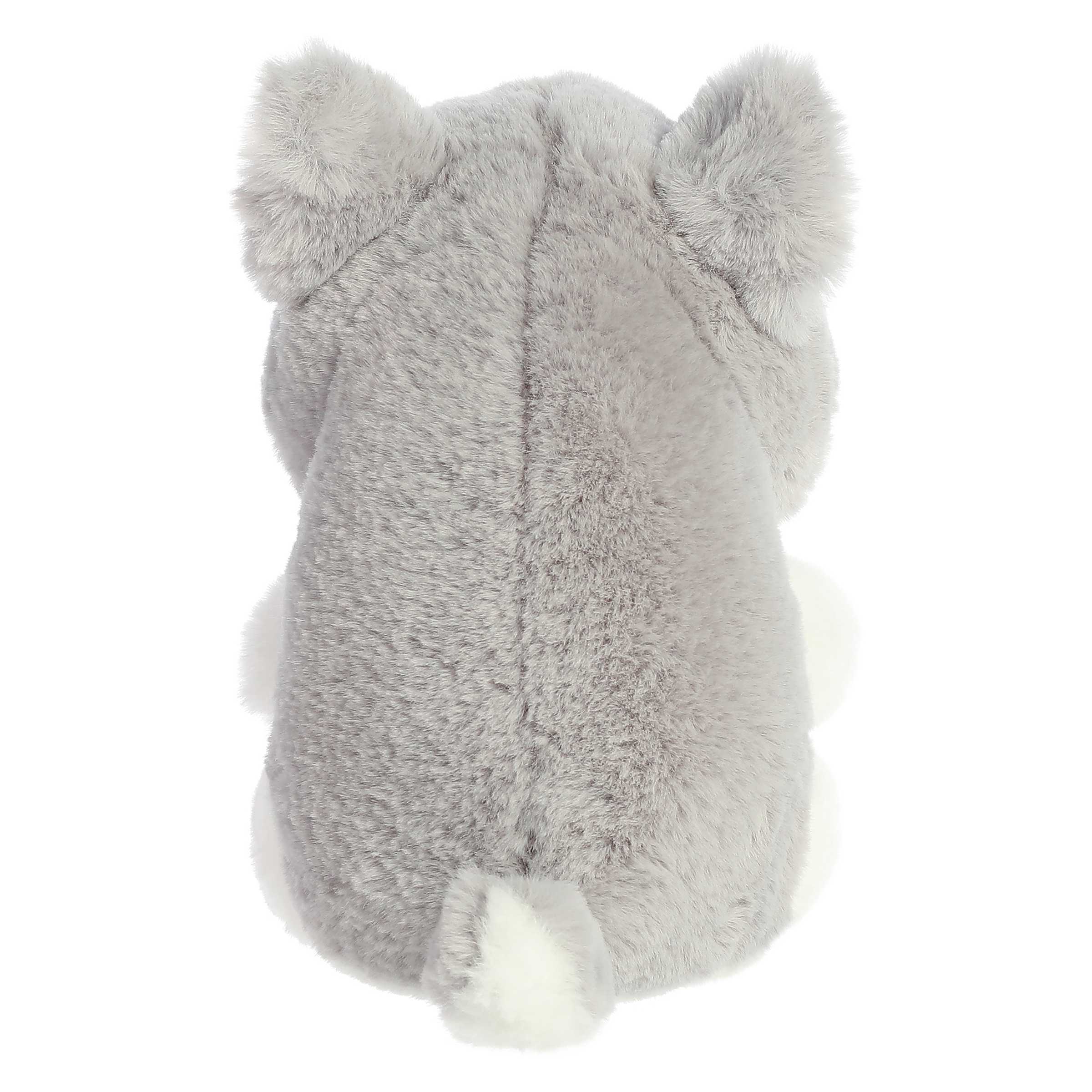 Aurora® - Boop™ - 9 Storm™、mySite、g9winljtr