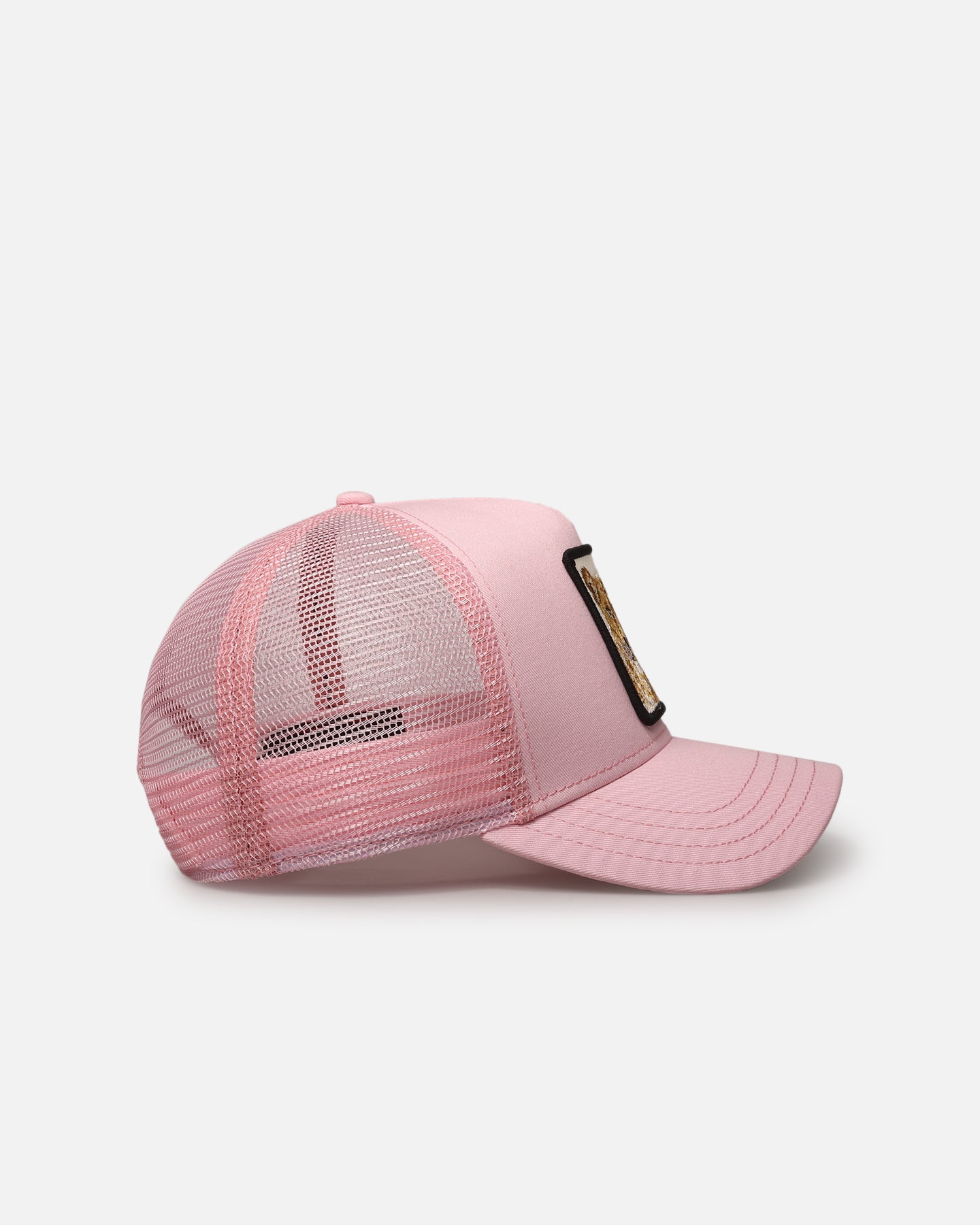 Goorin Bros The Queen Lioness Snapback Pink、mySite、zt4zffjzw