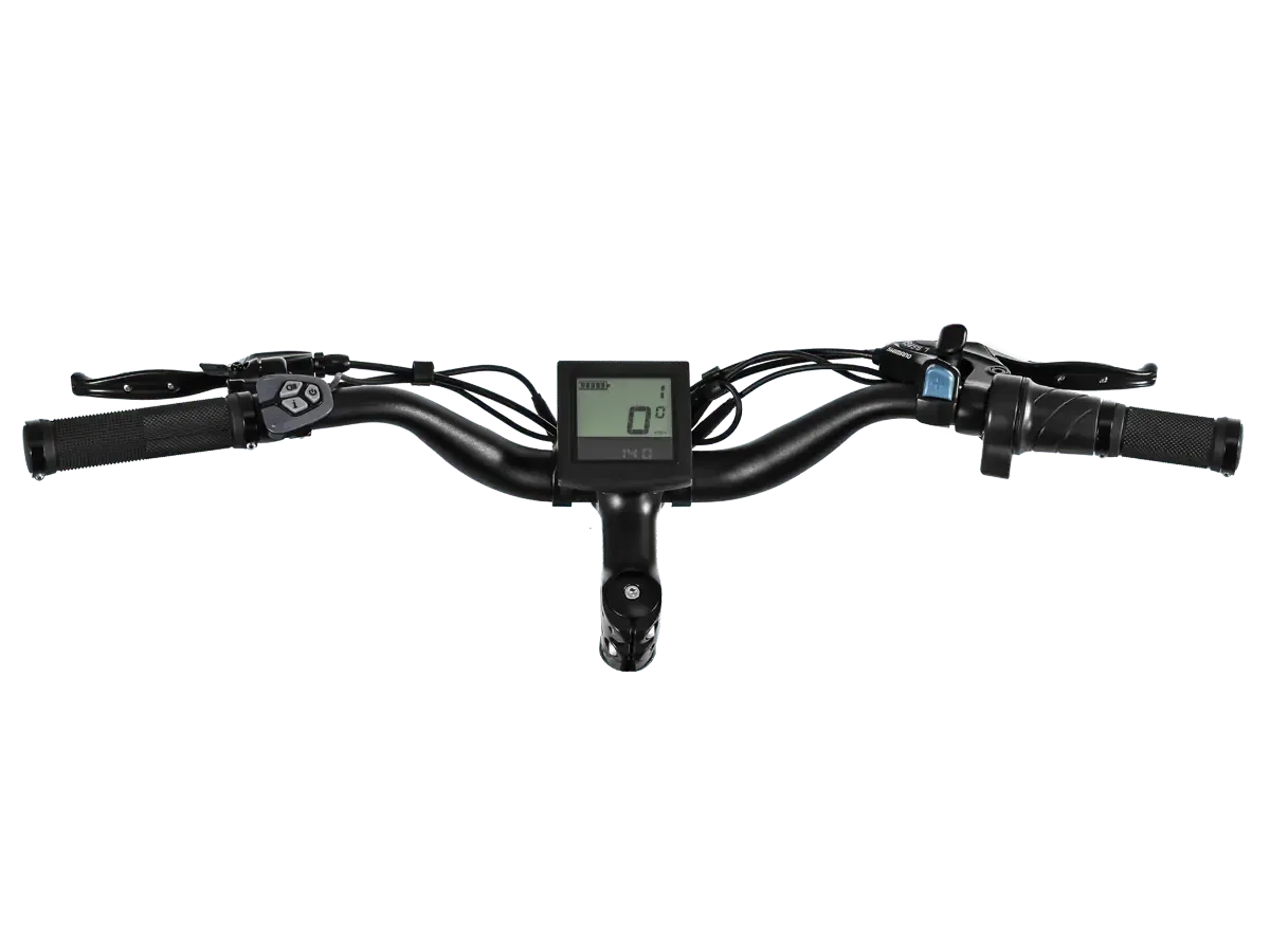  D3(Cruiser) / Long Range Fat Tire Electric Bike、mySite、ghnorth