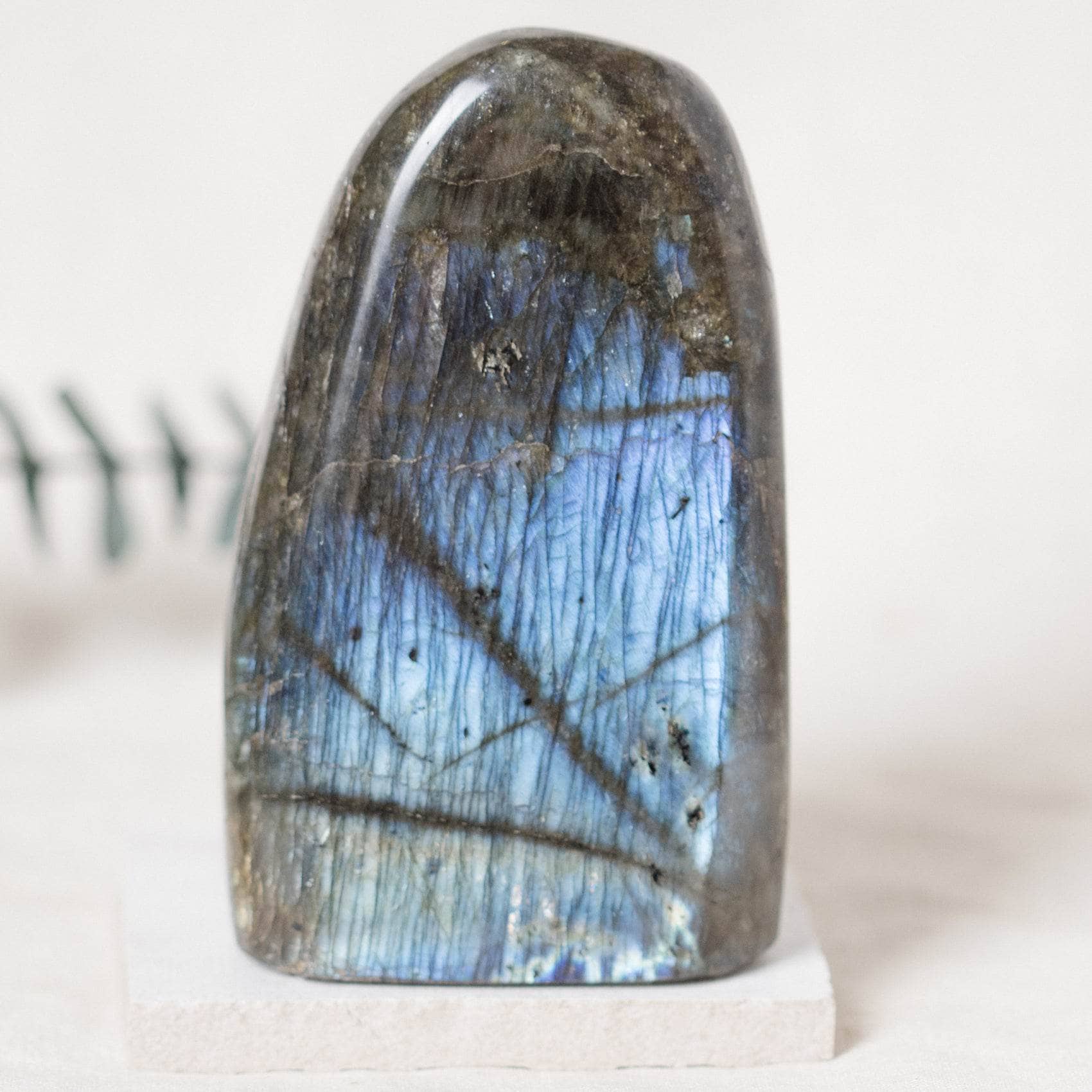 Labradorite Blue Flame Freeform - AAA Premium Quality、mySite、hinf8tx79