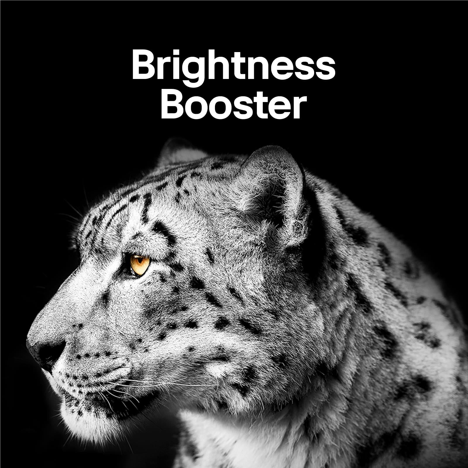 LG 97 Signature M4 OLED 4K UHD Smart TV 2024、mySite、camillekostekn