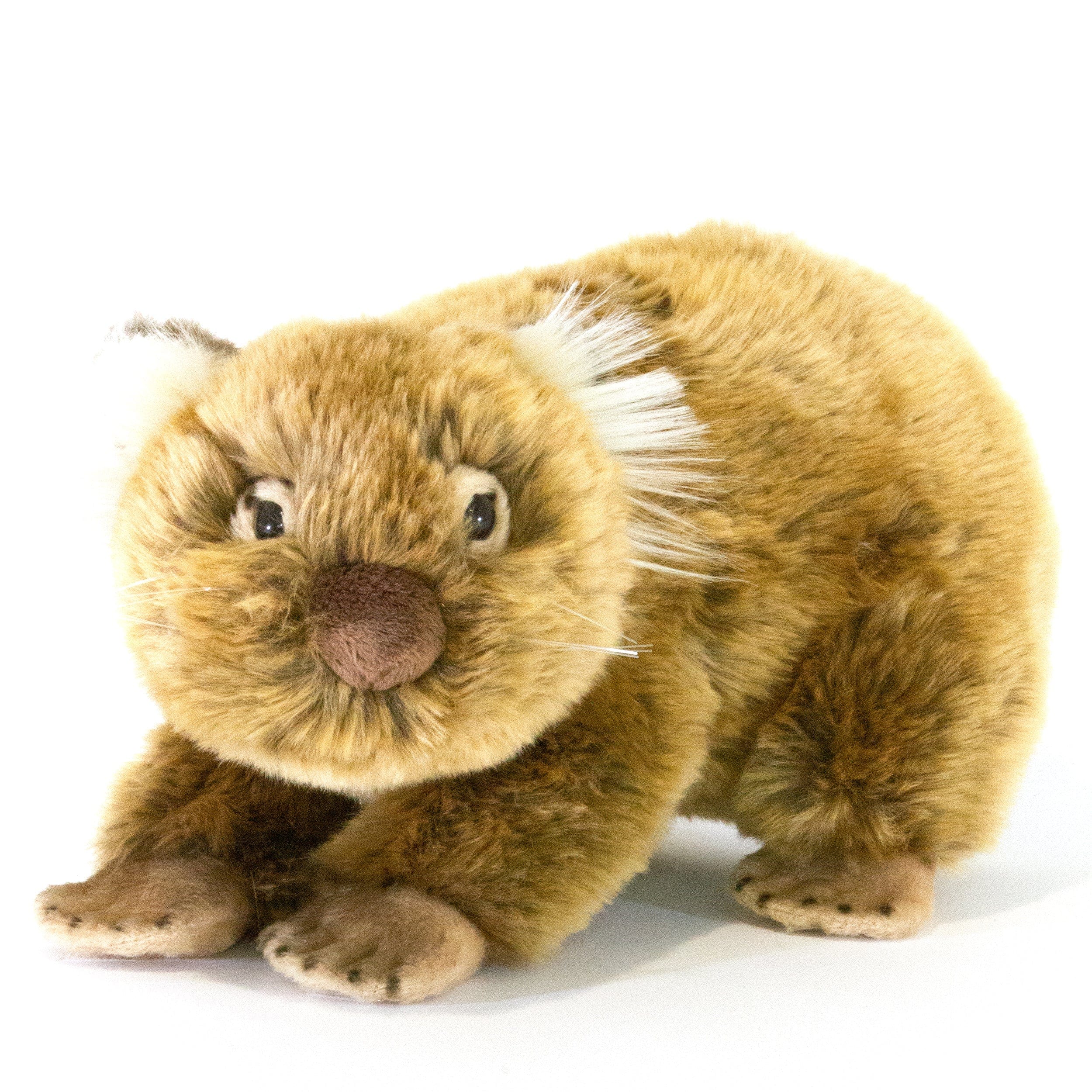 Plush Wombat Lifelike Eco-Friendly Medium Size 27cm/10.6″、mySite、g9winljtr