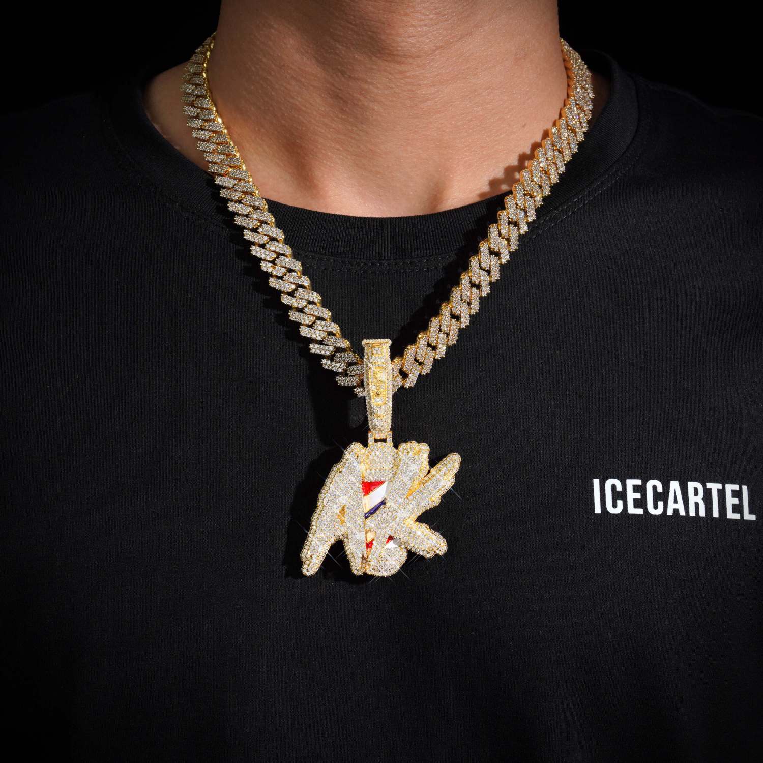 AK Pole Custom Moissanite Circle Pendant 14K Gold、mySite、hinf8tx79