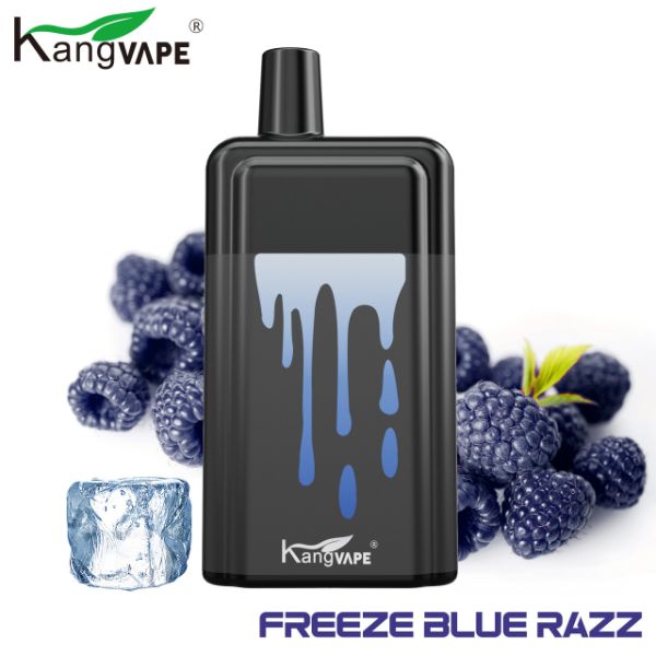 Kangvape Onee Stick 5200 Puffs Disposable Vape 18.5mL 10 Pack、mySite、zt4zffjzw