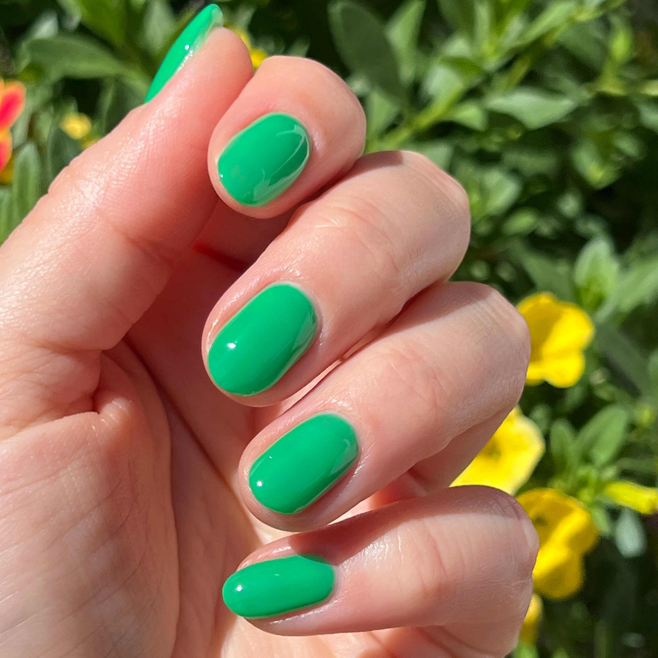 Bocce Ball、mySite、solidvoid