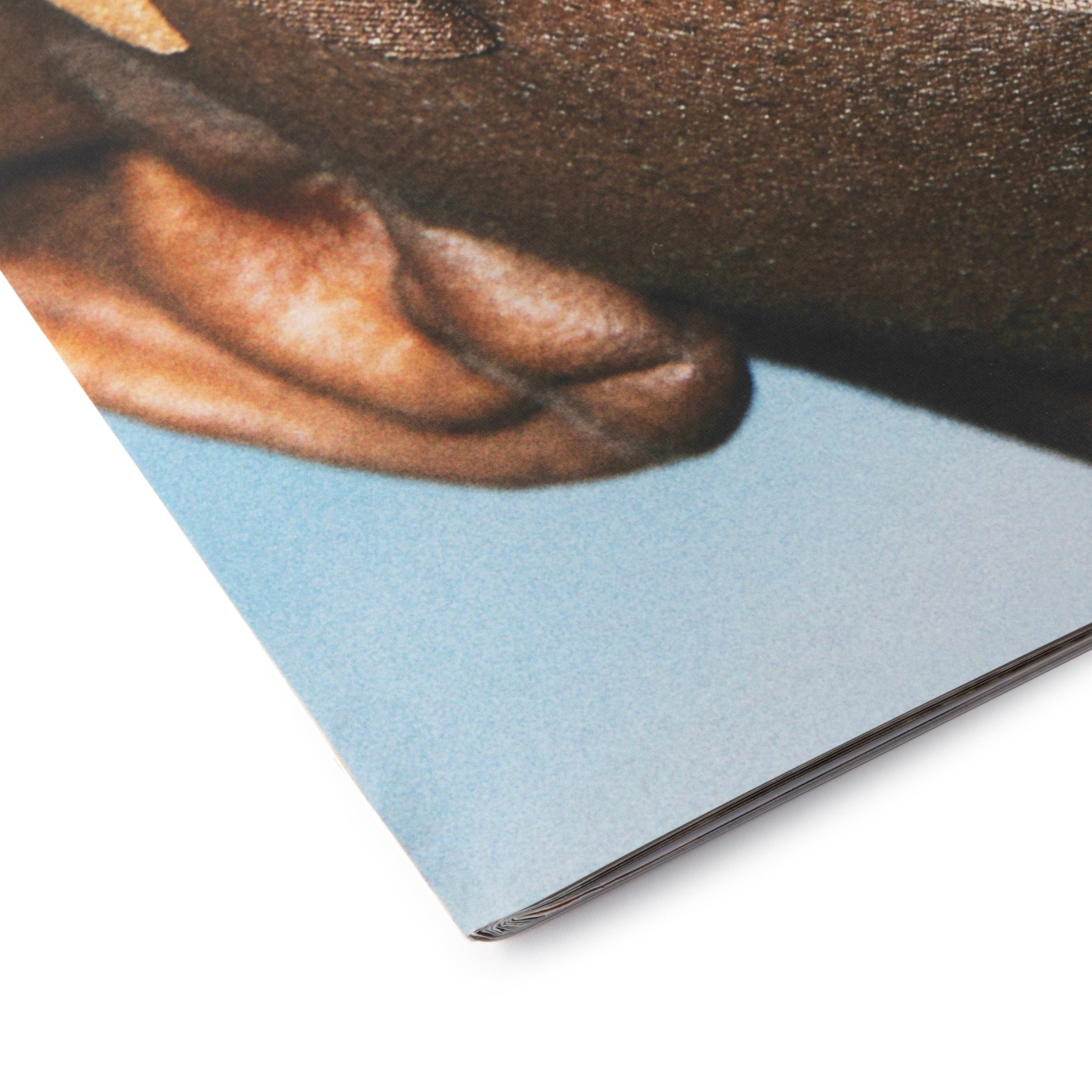 SNEEZE MAGAZINE N.56、mySite、zt4zffjzw