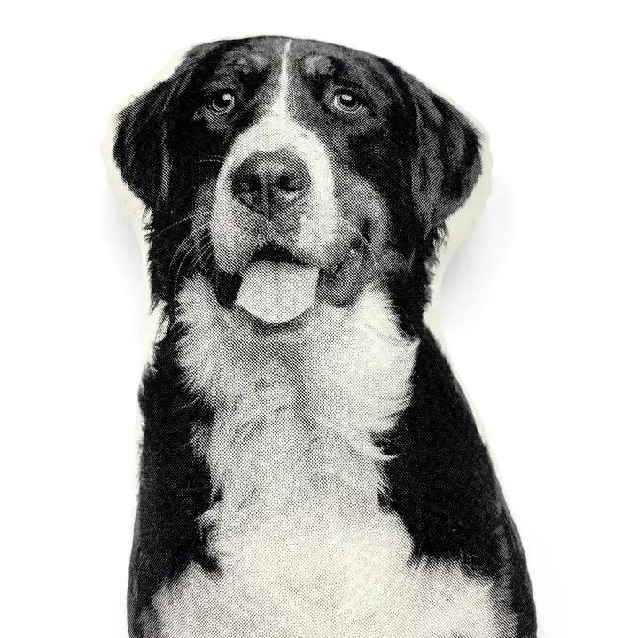 Bernese Mountain Pillow、mySite、g9winljtr