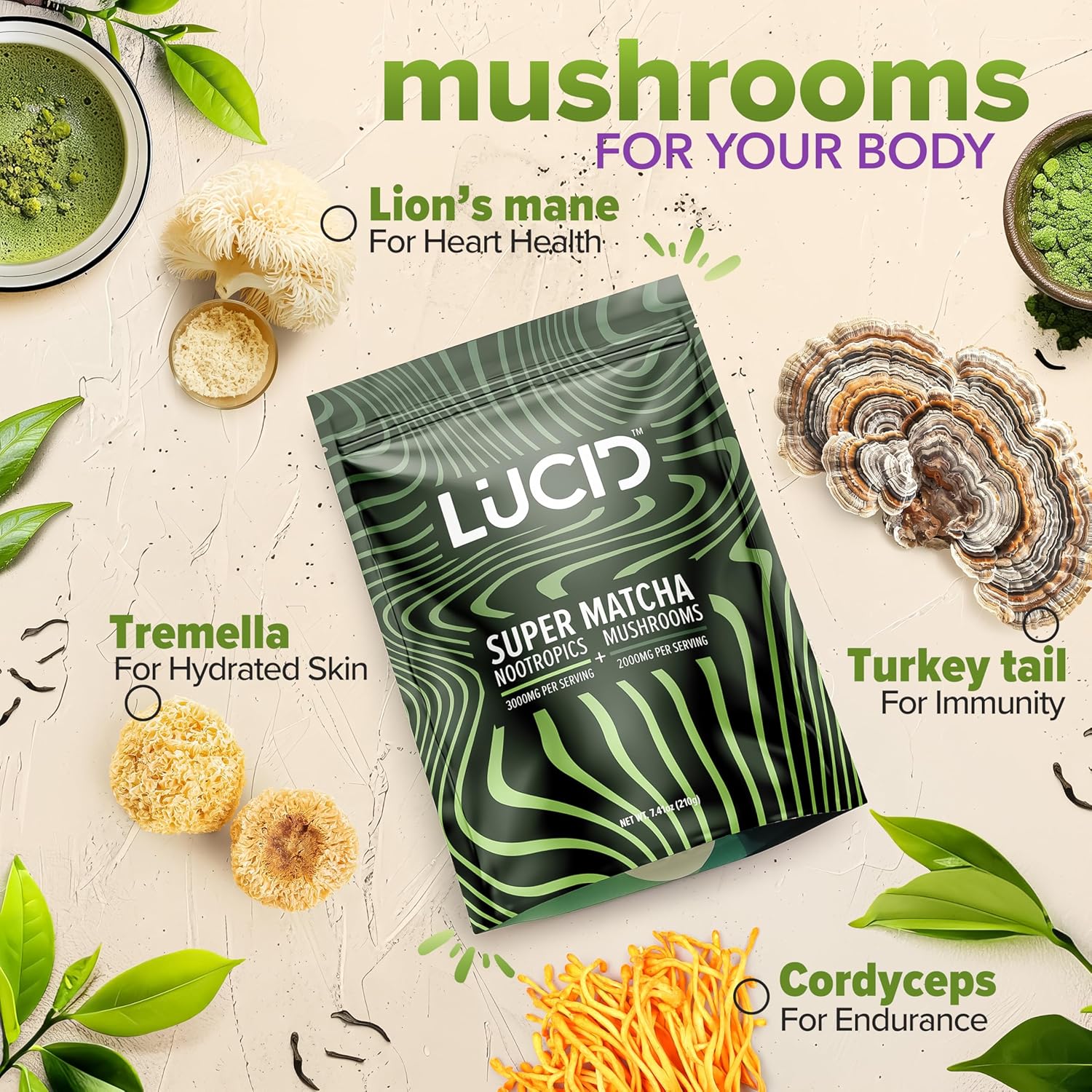 Lucid™ Nootropic+Mushroom Matcha、mySite、gigharbornorthrealestate