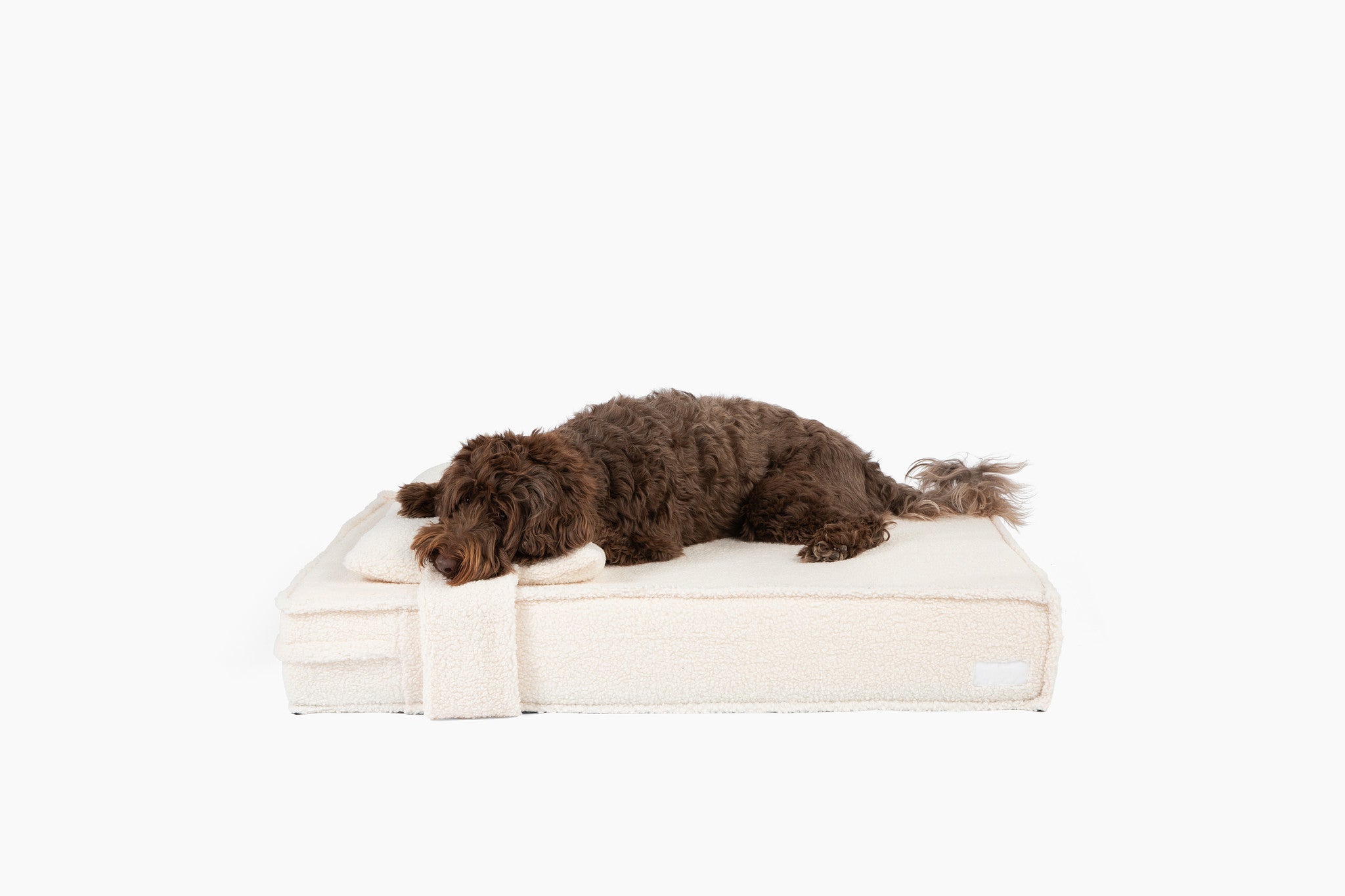  Orthopedic Pet Bed、mySite、sugarbowlscore