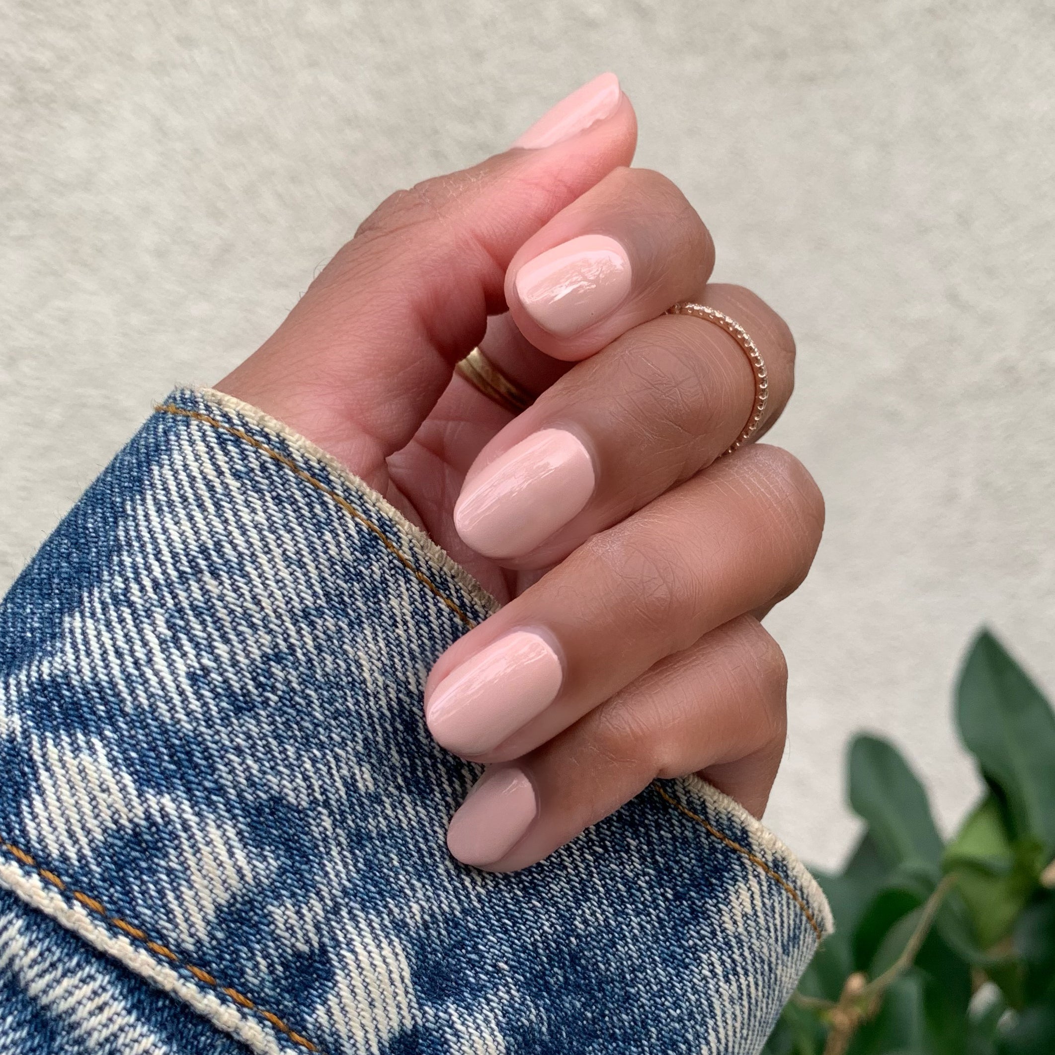 HZ、mySite、solidvoid