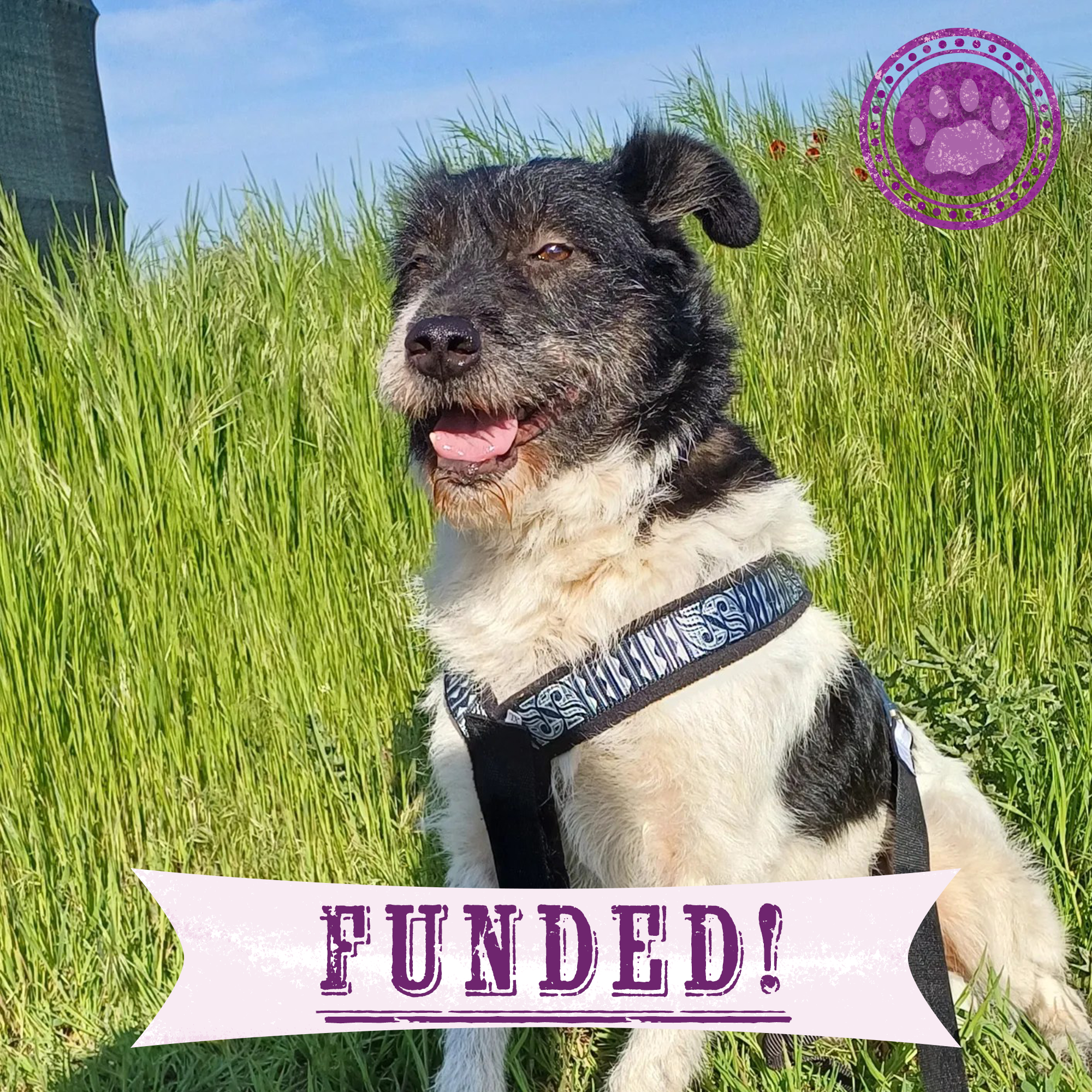 Funded: Save Fita from Terrible Stomach Wound、mySite、camillekostekn