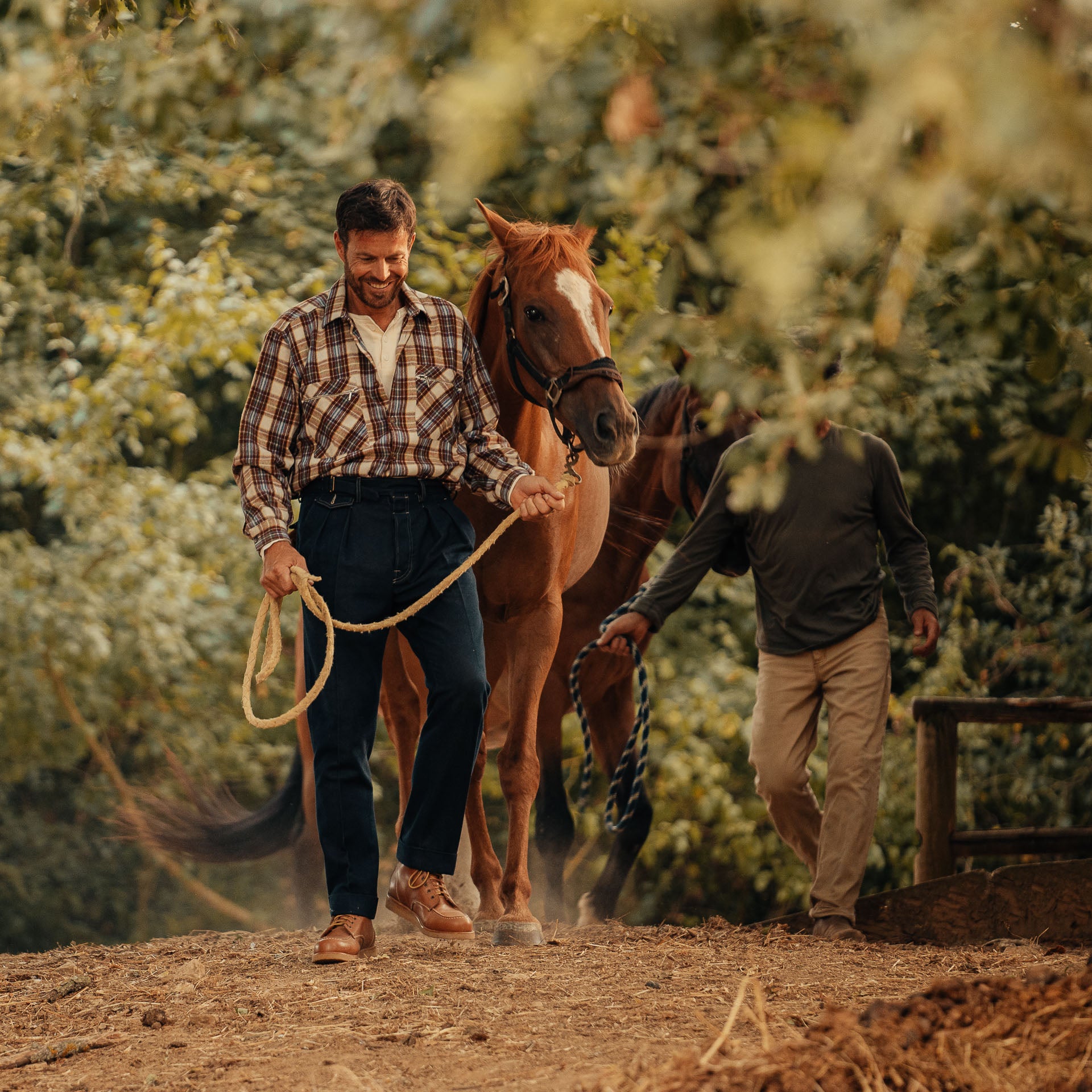  Pastissee、mySite、merchandisen