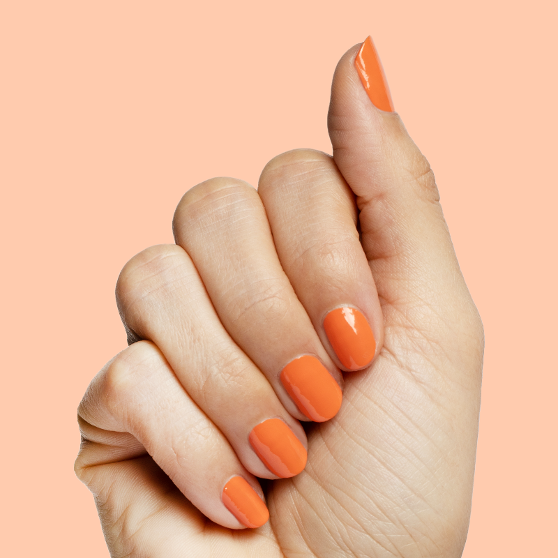 Bounce Back、mySite、solidvoid