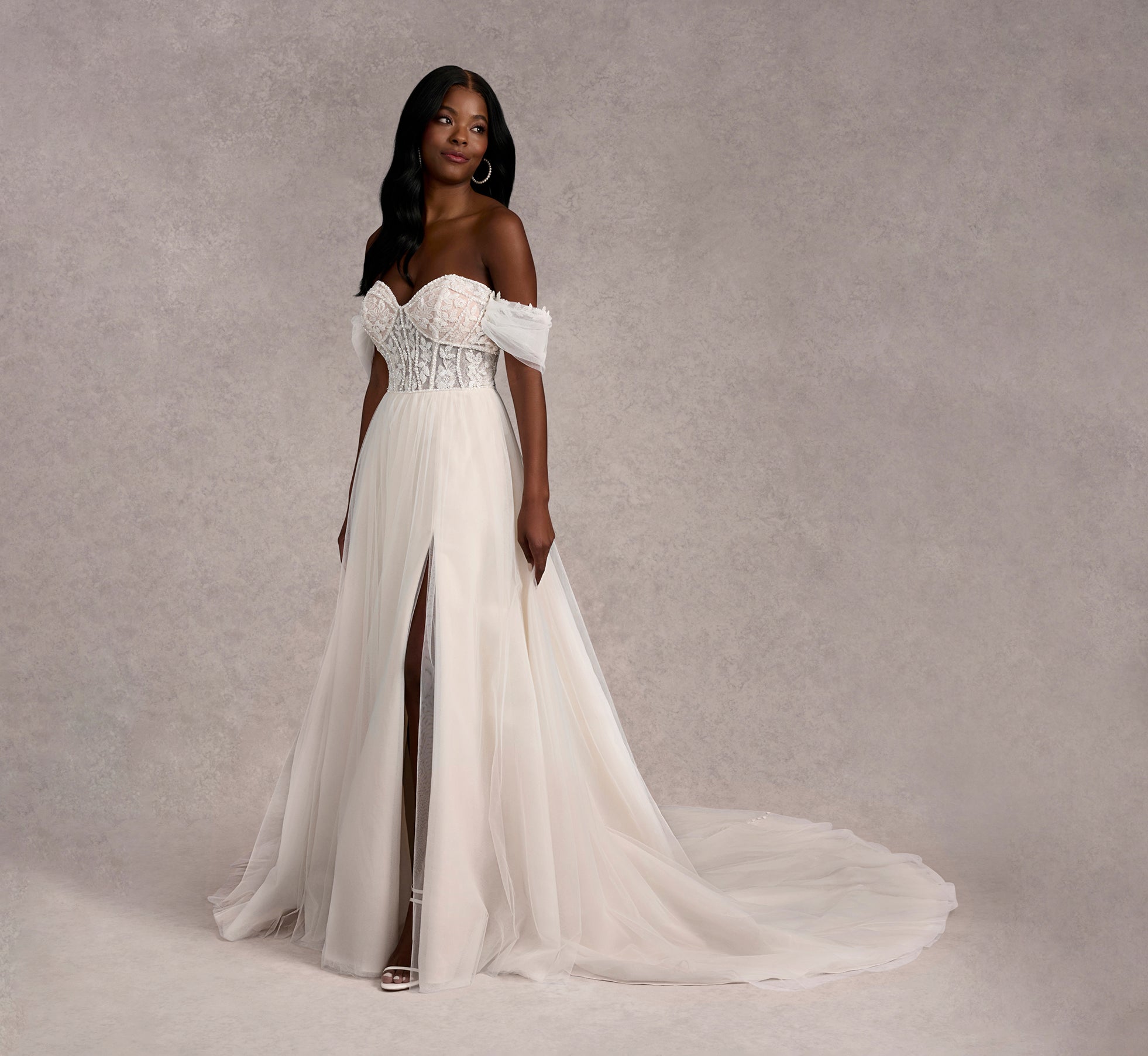 Beaded Lace And Tulle A-Line Gown In Ivory/Rumpink/Nude In Ivory Rumpink Nude、mySite、solidvoid