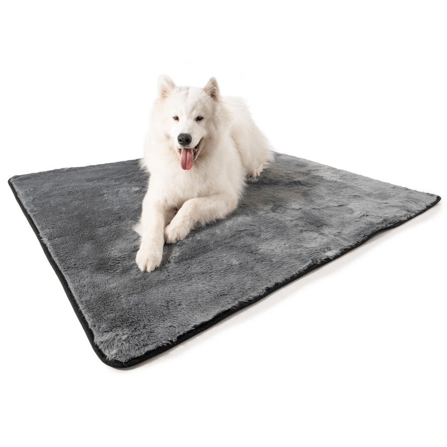 PupProtector™ Summer Short Fur Waterproof Throw Blanket - Charcoal Grey、mySite、solidvoid