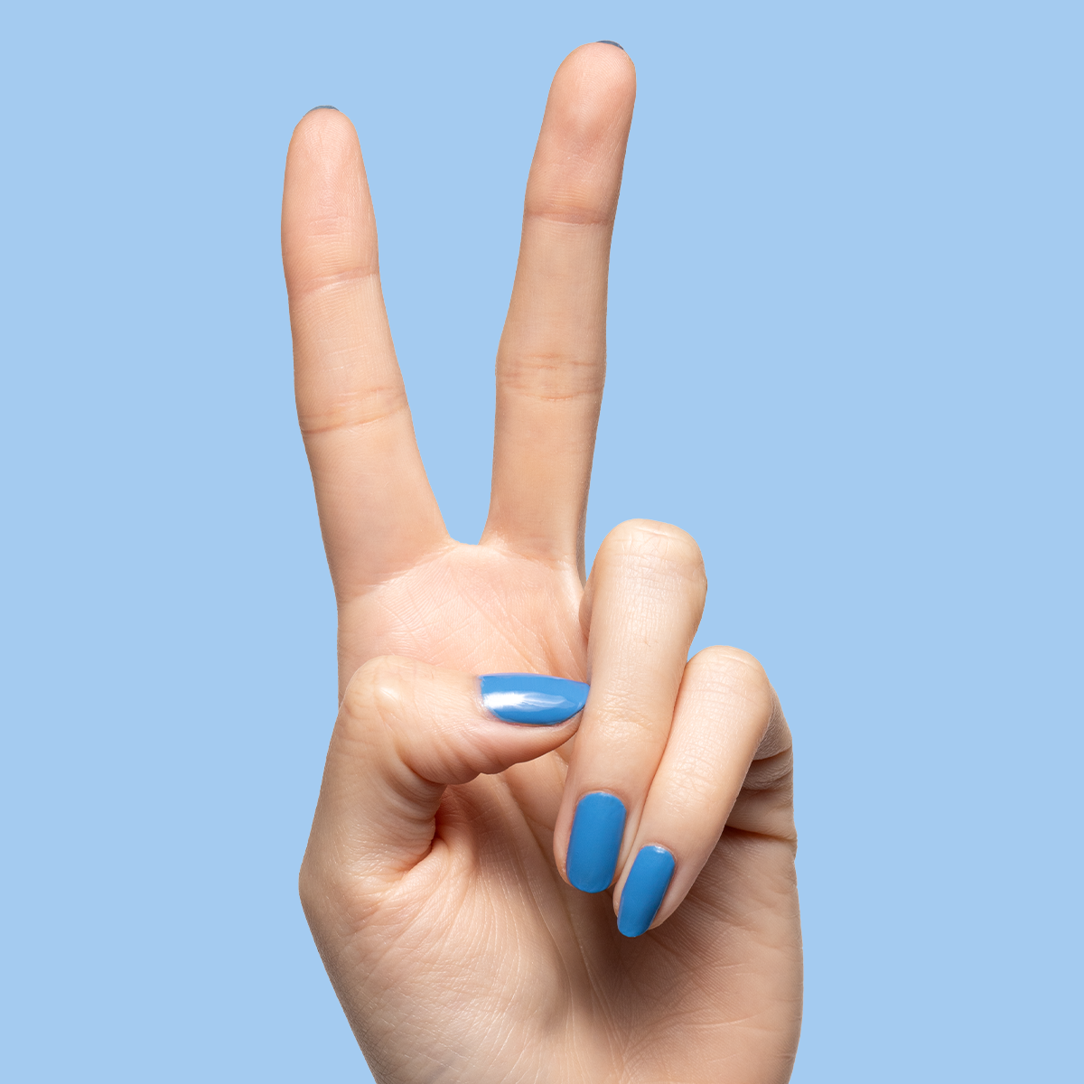 Ocean、mySite、solidvoid