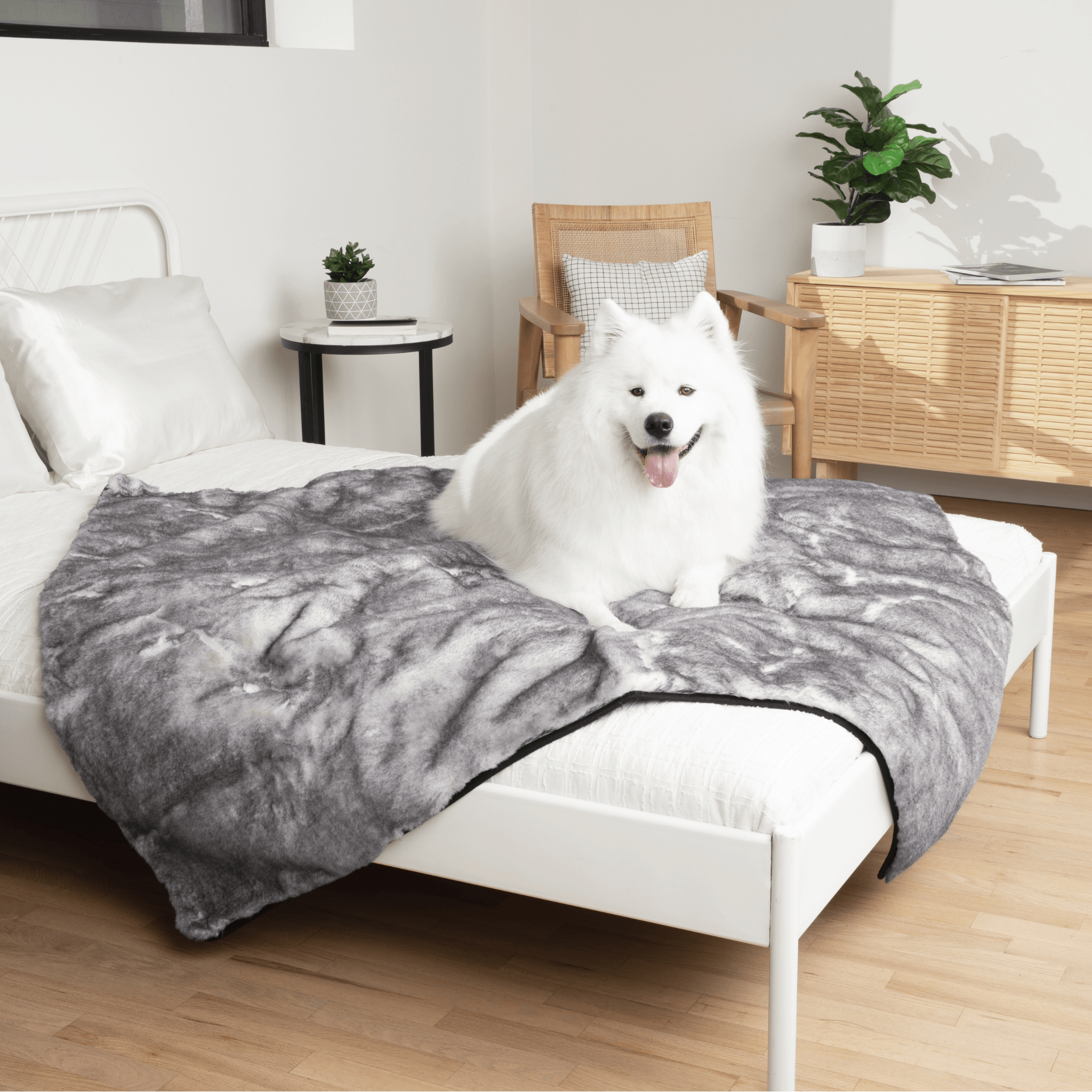 PupProtector™ Luxe Waterproof Faux Fur Blanket - Ultra Soft Chinchilla、mySite、solidvoid
