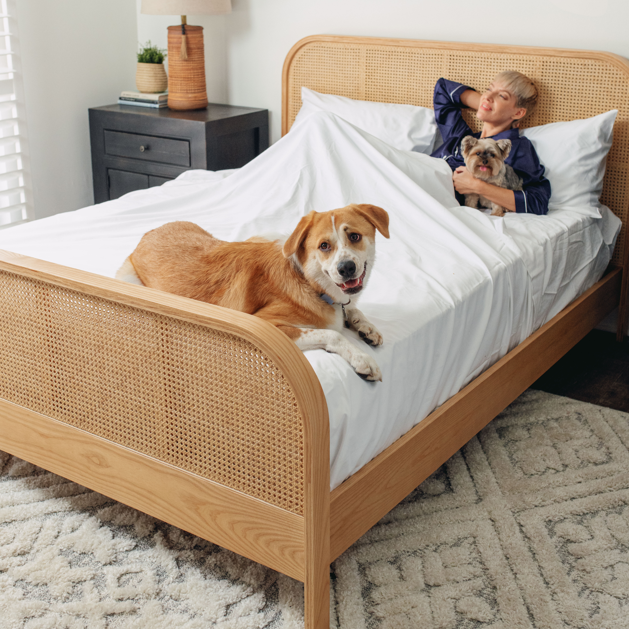 PupSheets™ Hair Resistant, Antimicrobial & Cooling Sheet Set - White、mySite、solidvoid