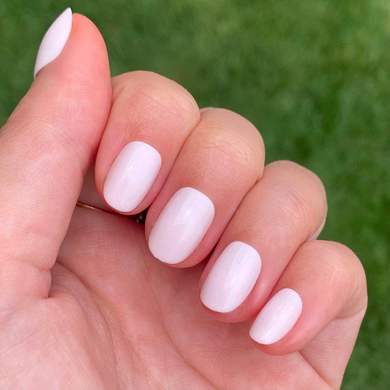 CCT | Round | Extra Short、mySite、solidvoid