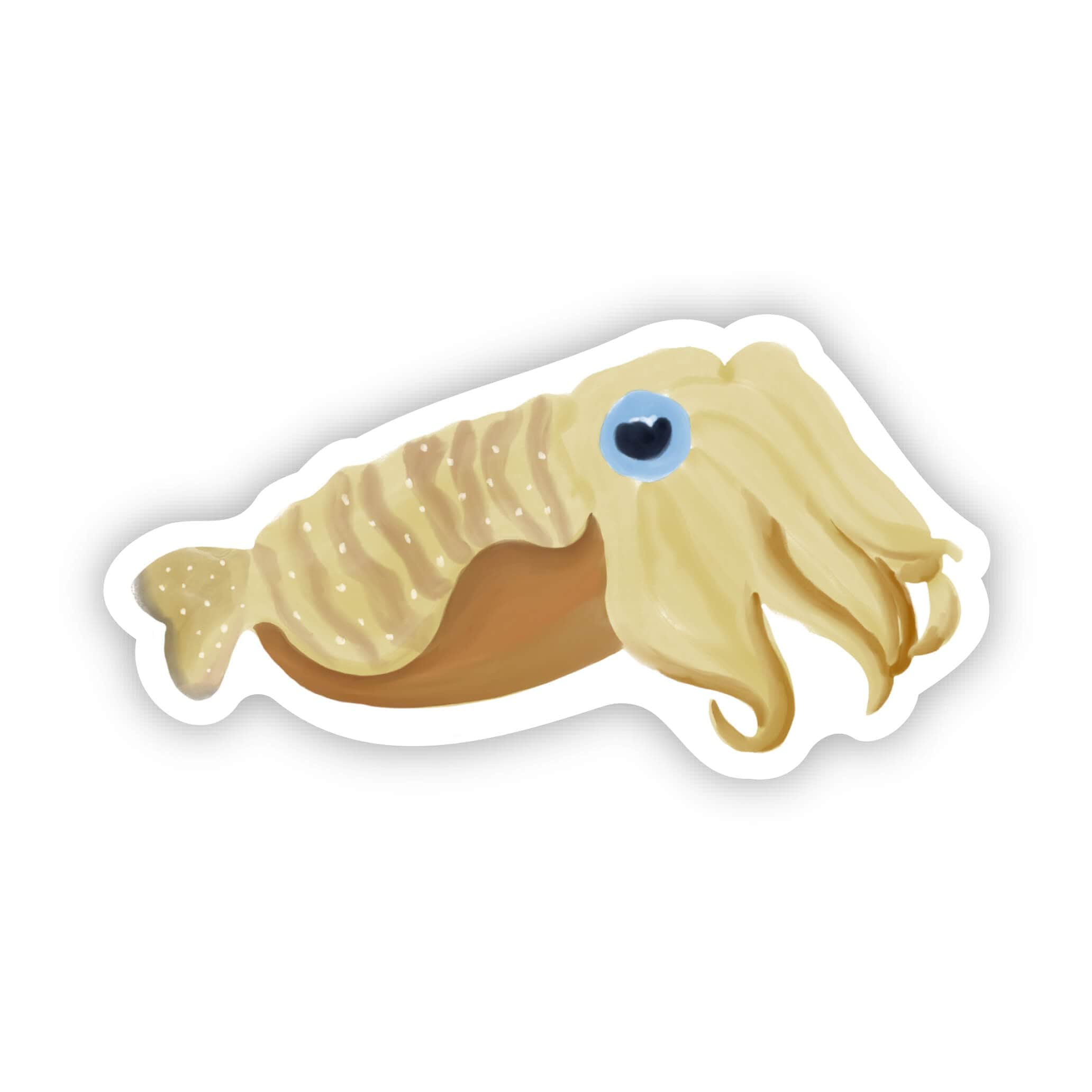  Tan Cuttle Fish Sticker、mySite、ghnorth