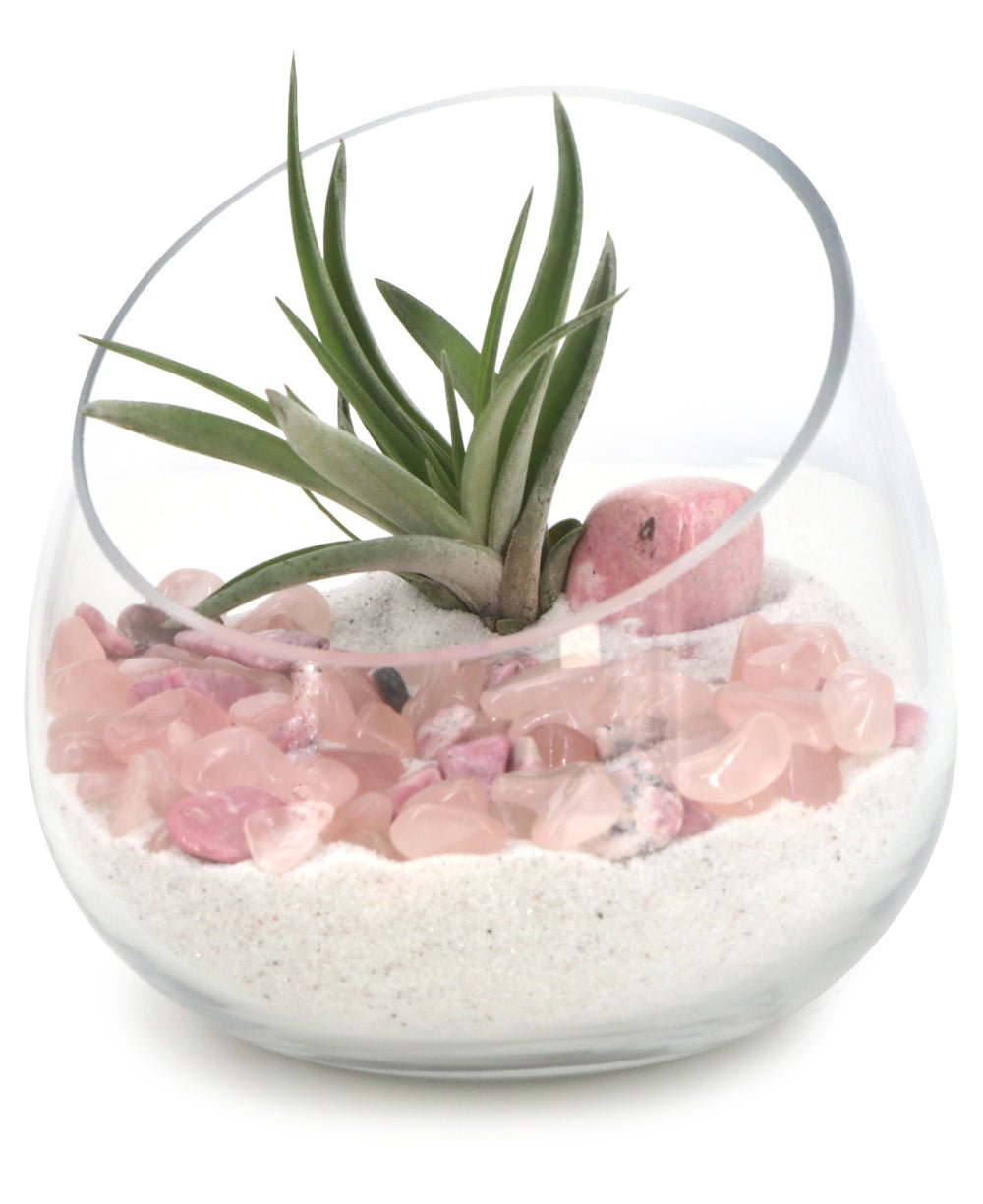 Rose Quartz And Rhodonite Healing Love Terrarium with Air Plant、mySite、topwebapps