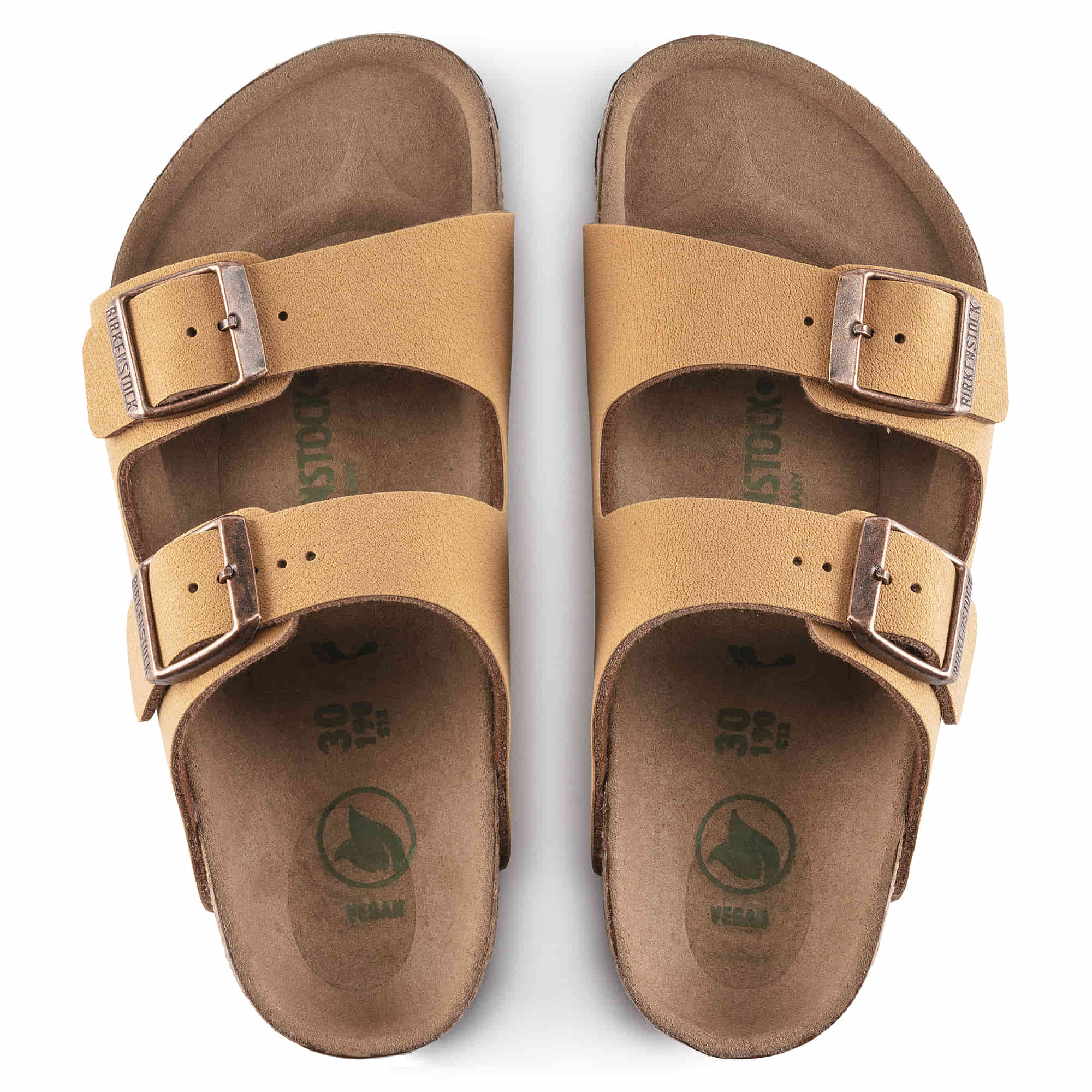 Arizona Kids Vegan Birko-Flor Nubuck、mySite、gtrtttuynbv