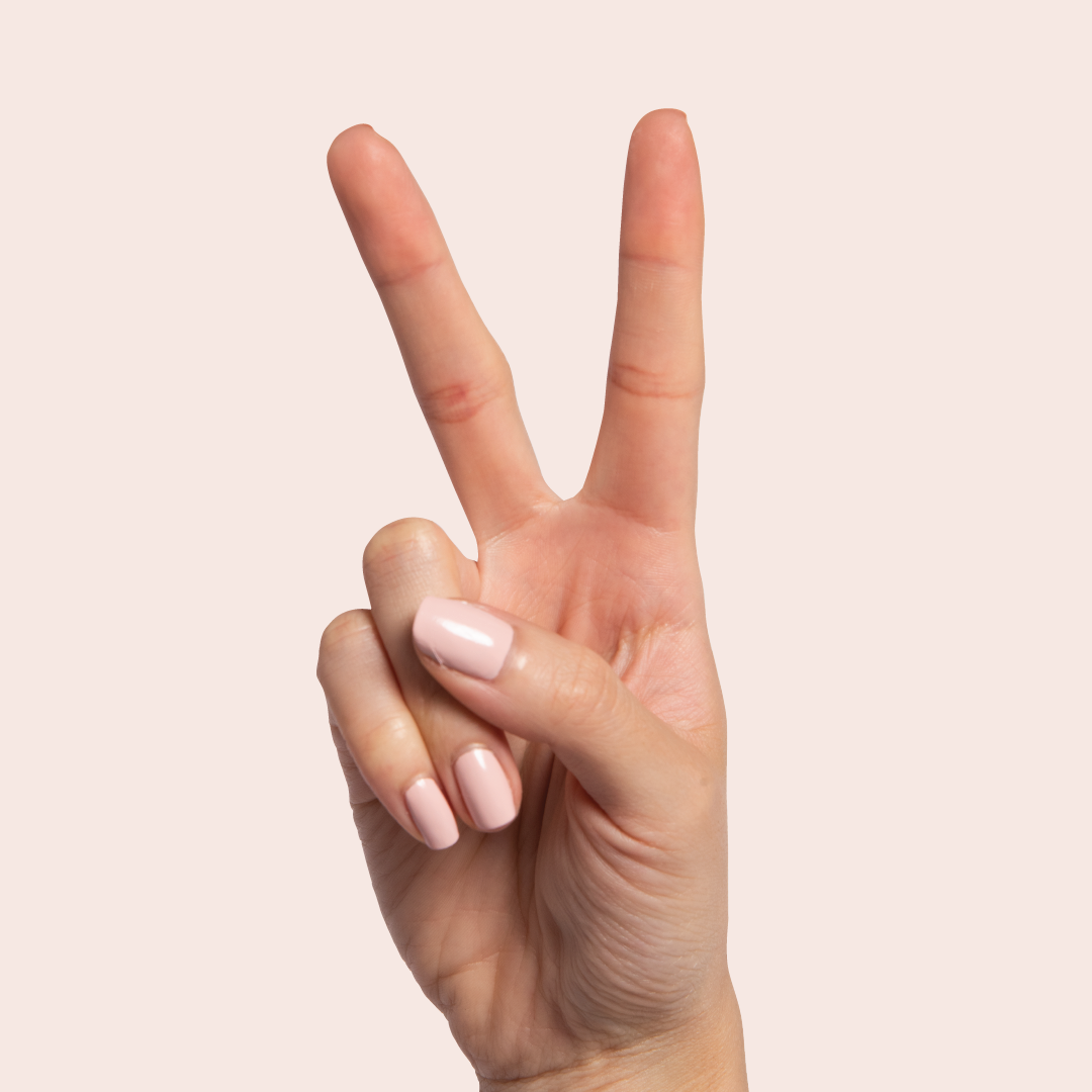 Pointe、mySite、solidvoid