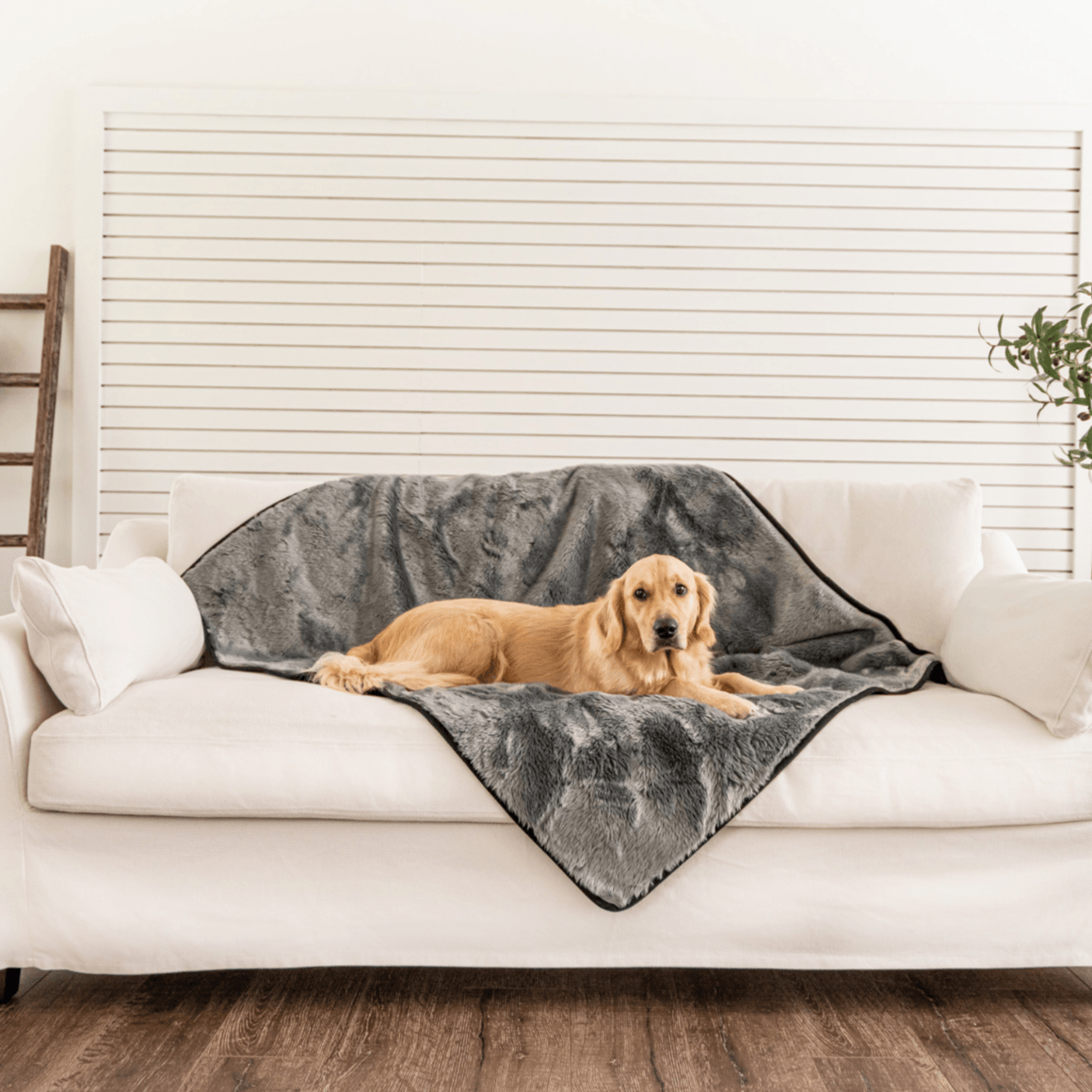 PupProtector™ Summer Short Fur Waterproof Throw Blanket - Charcoal Grey、mySite、solidvoid