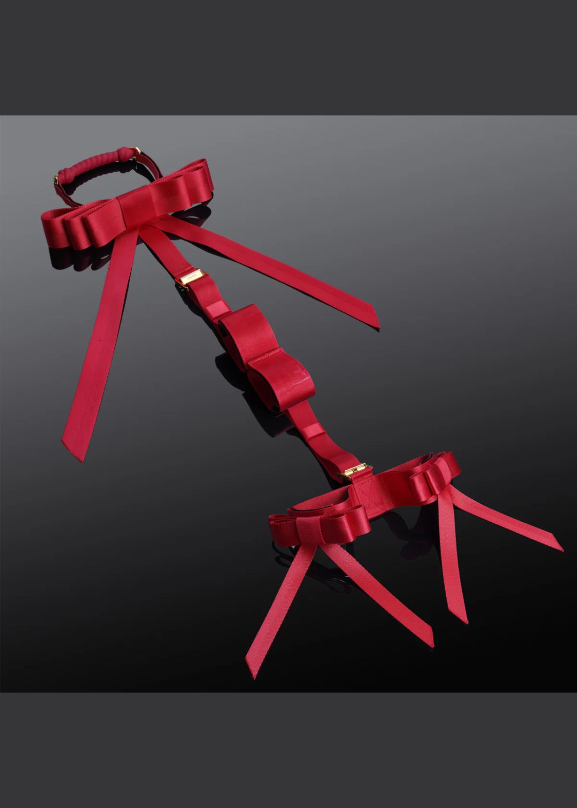  Bowknot Hogtie Portable Bondage Gear、mySite、justintrudeaud