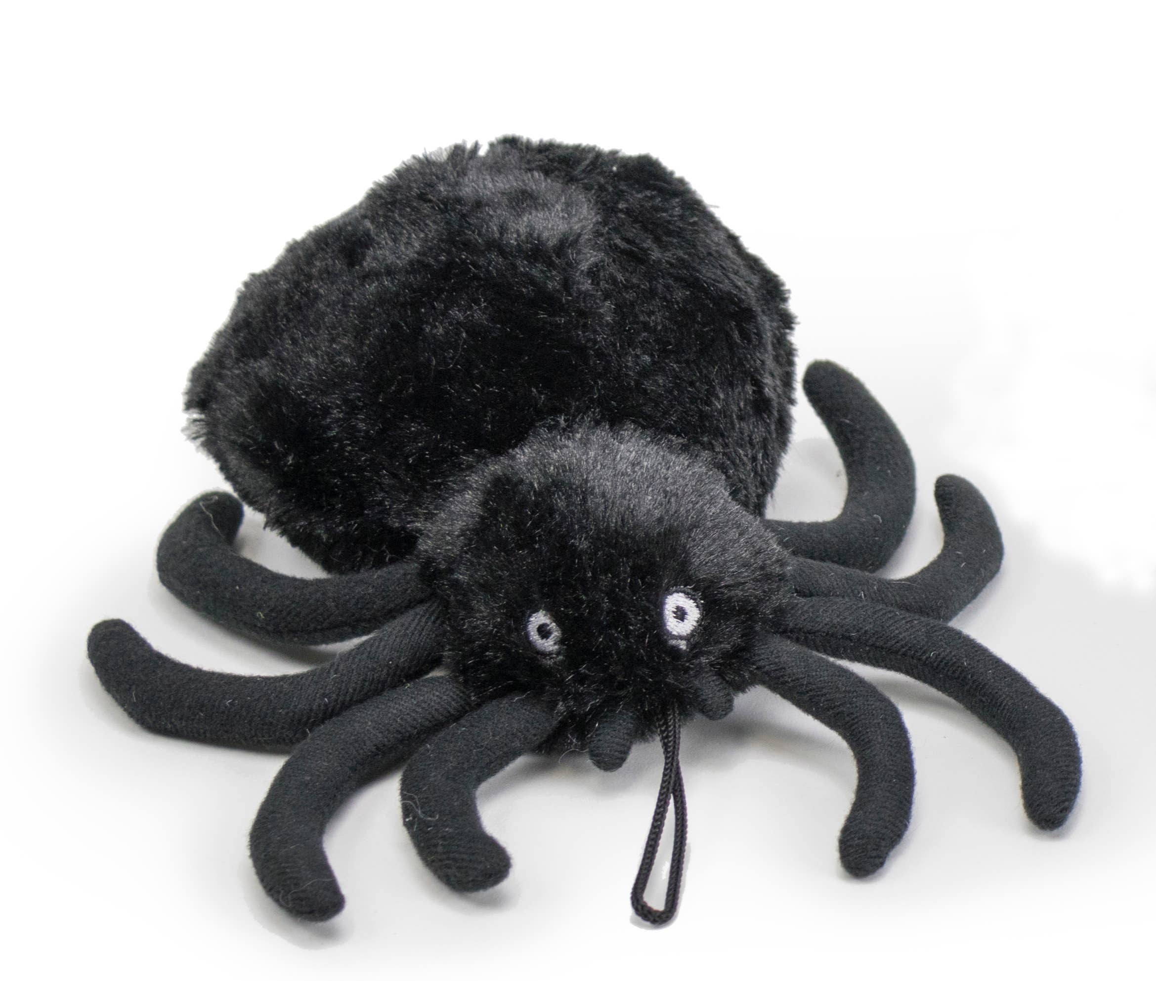 Creepy Baller - Tough Spider Dog Toy for Halloween *、mySite、g9winljtr