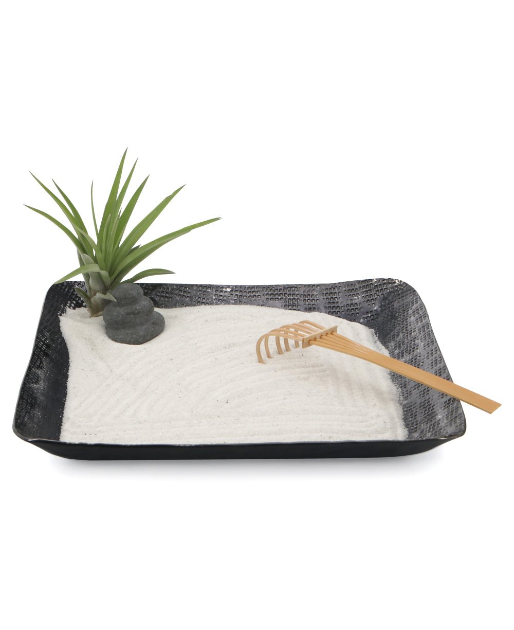 Cairn Zen Garden with Air Plant、mySite、topwebapps