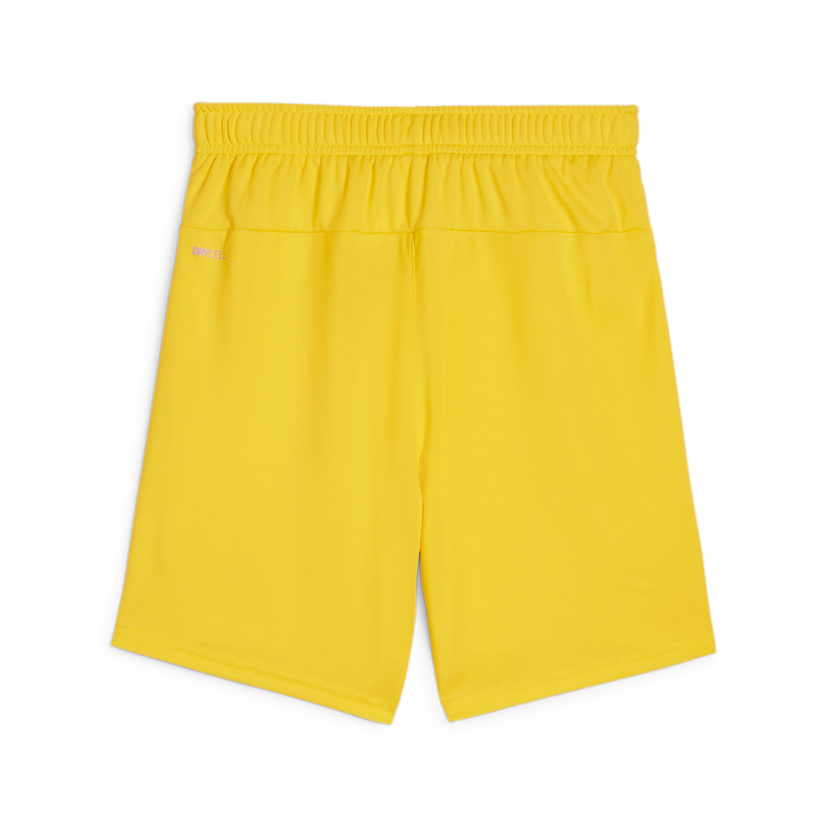 Puma Youth Teamgoal Shorts - Yellow、mySite、noshort