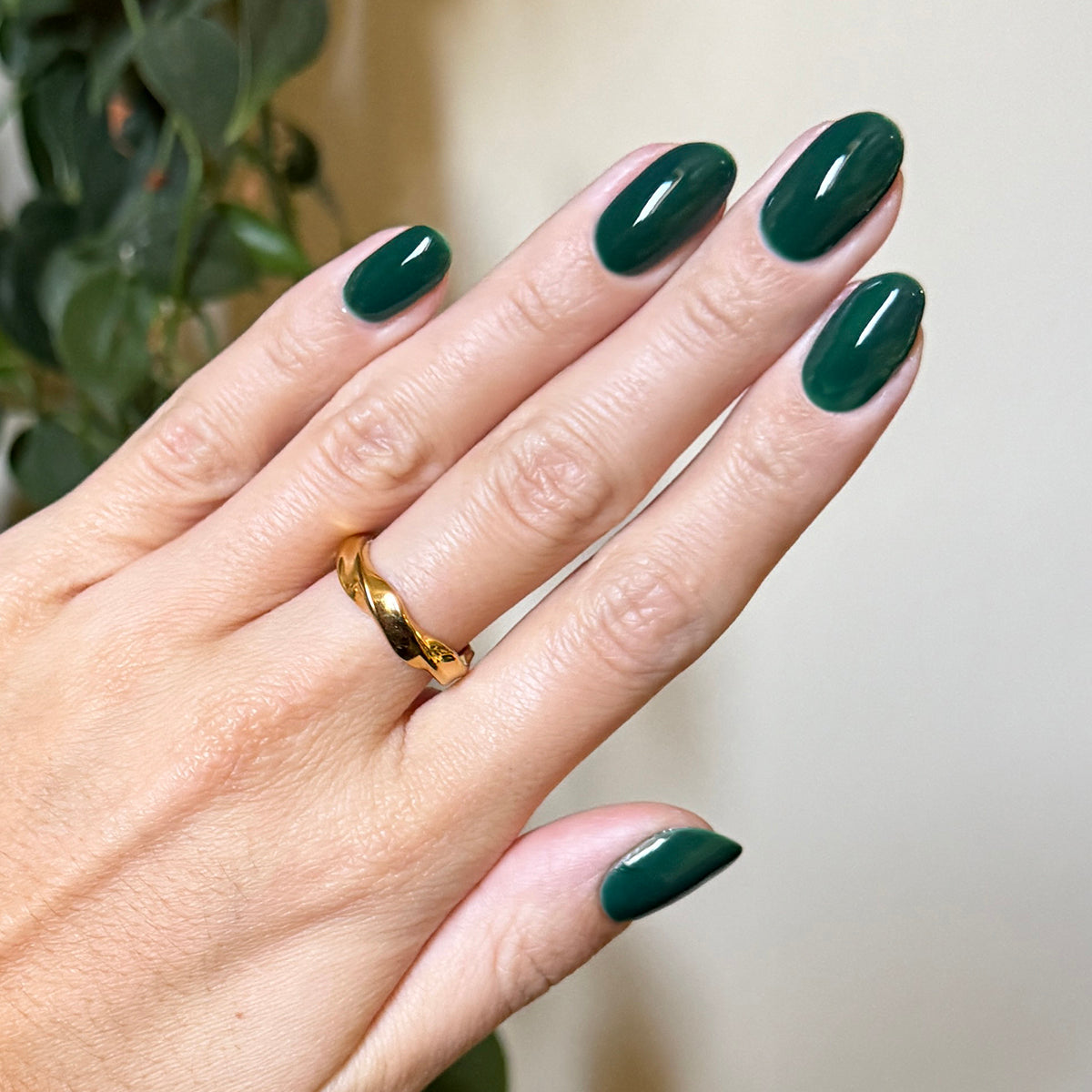 Fiddlefig - Gel、mySite、solidvoid